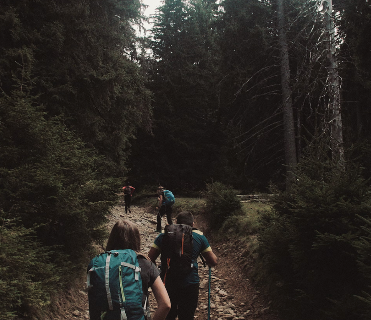 The Best Hiking Trails To Visit This Spring