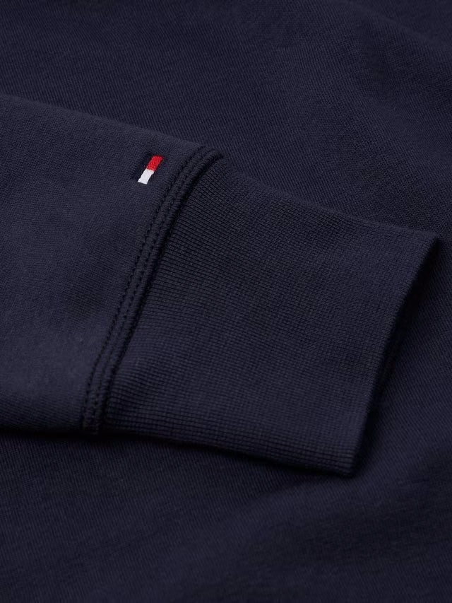 Core Tommy Logo Hoodie Sky Captain