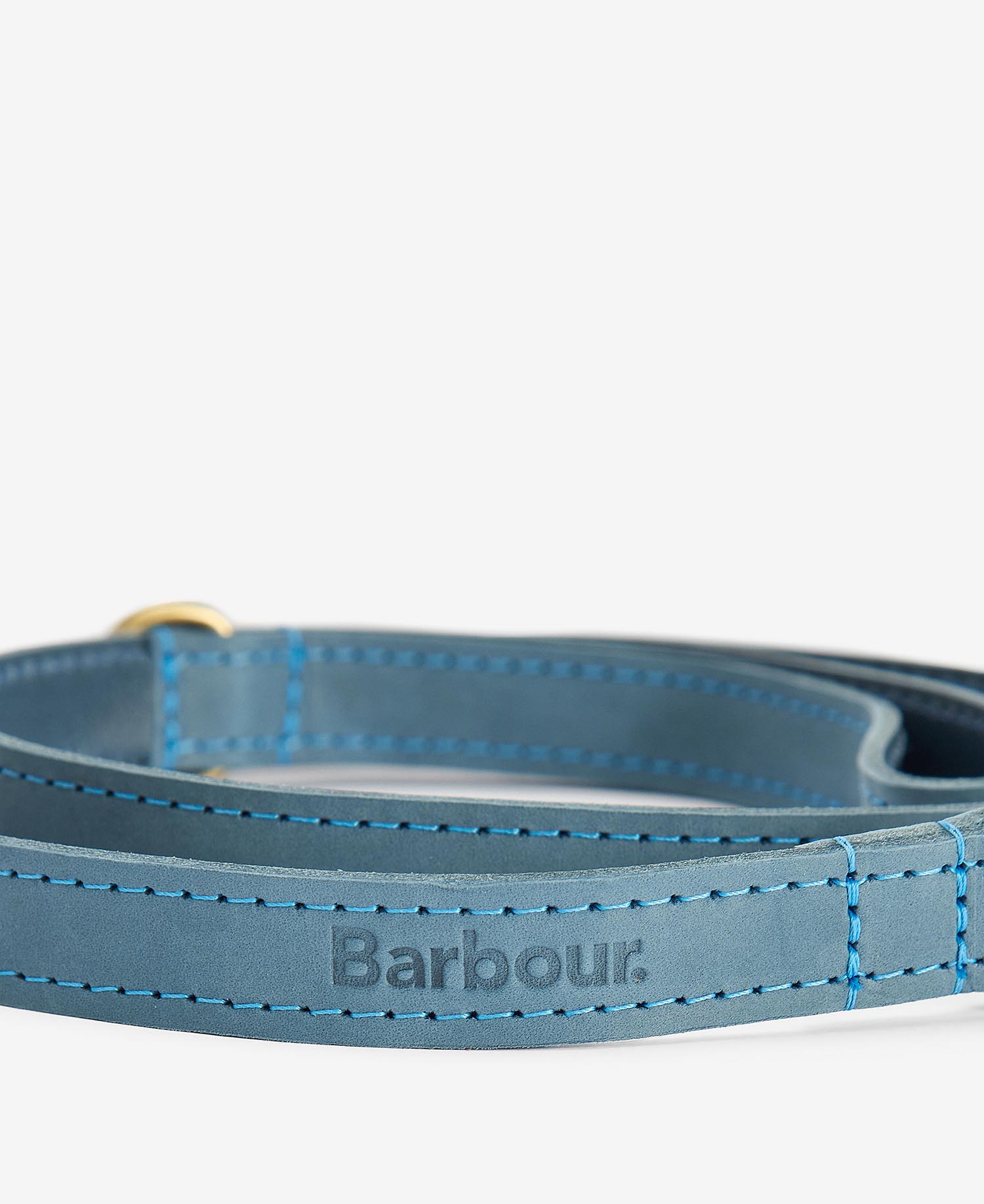 Leather Dog Lead Blue