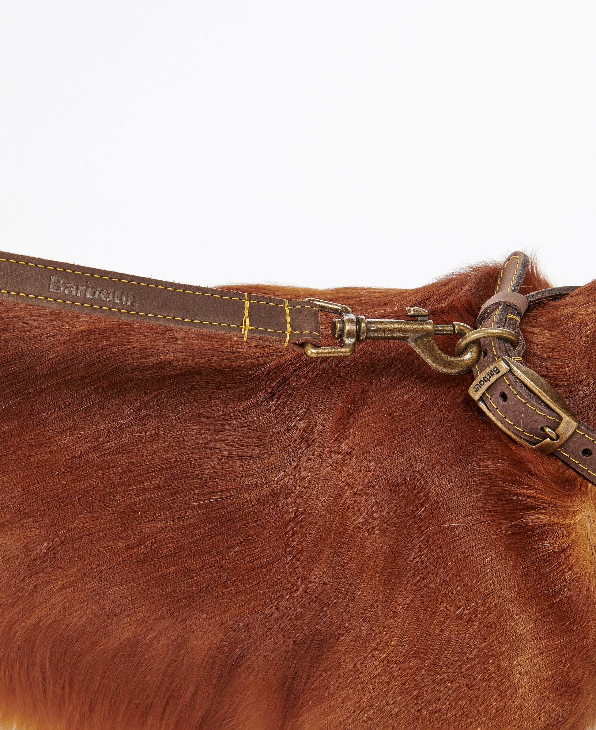 Leather Dog Lead Brown