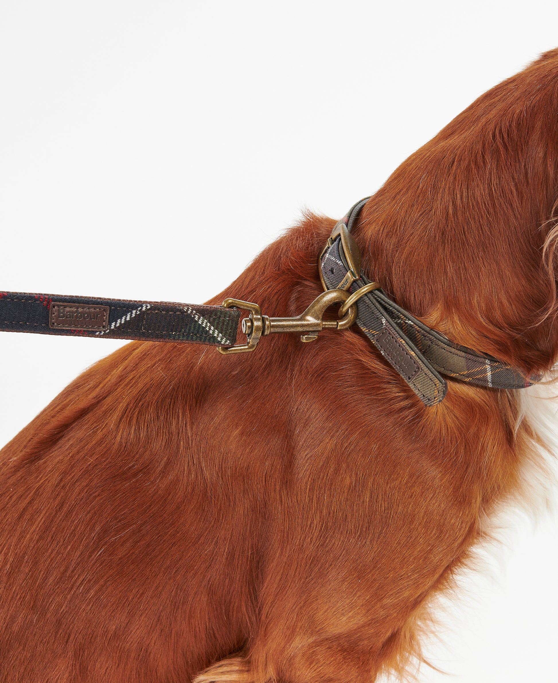 Tartan Dog Lead Classic Tartan