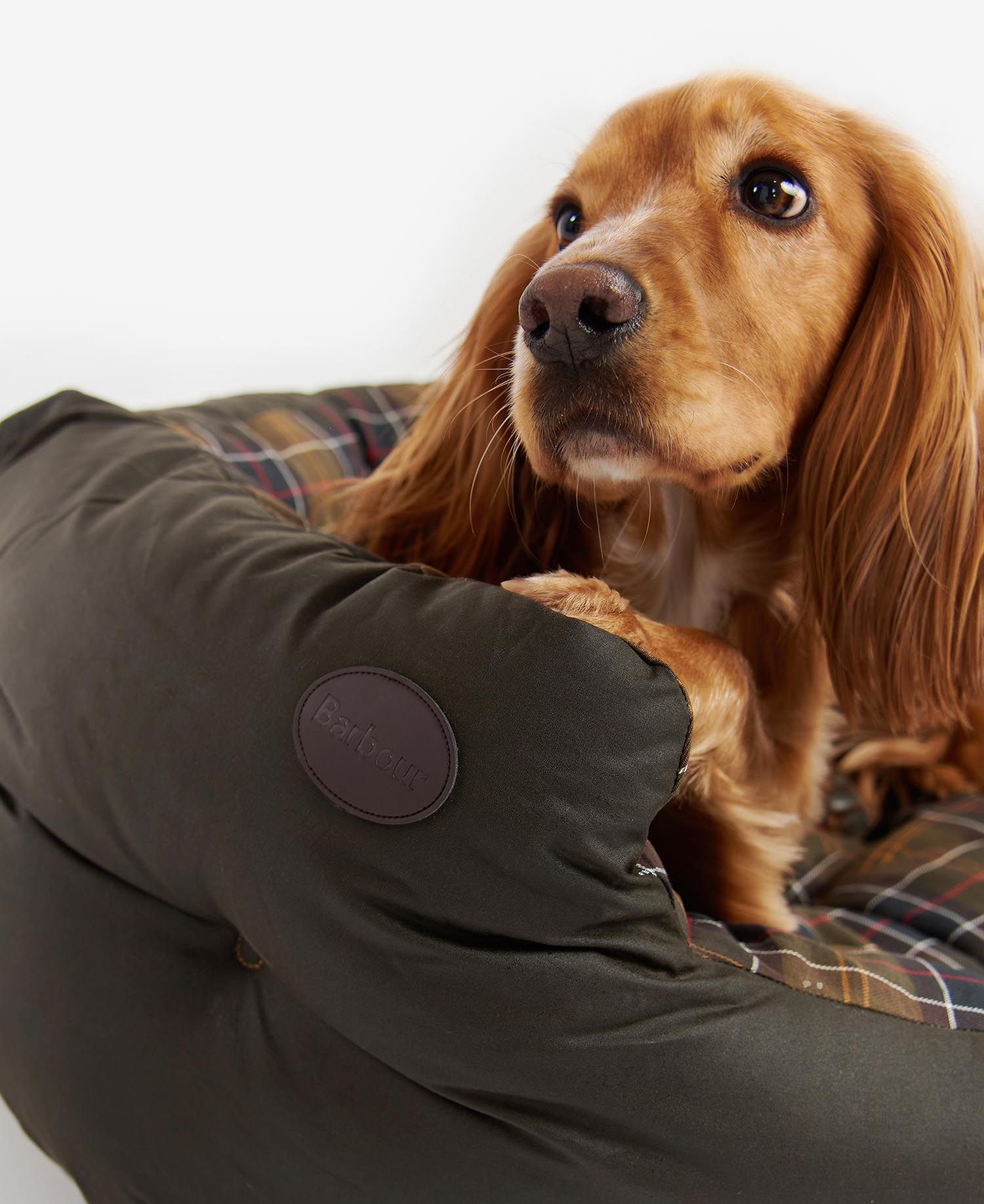Wax Cotton Dog Bed Olive