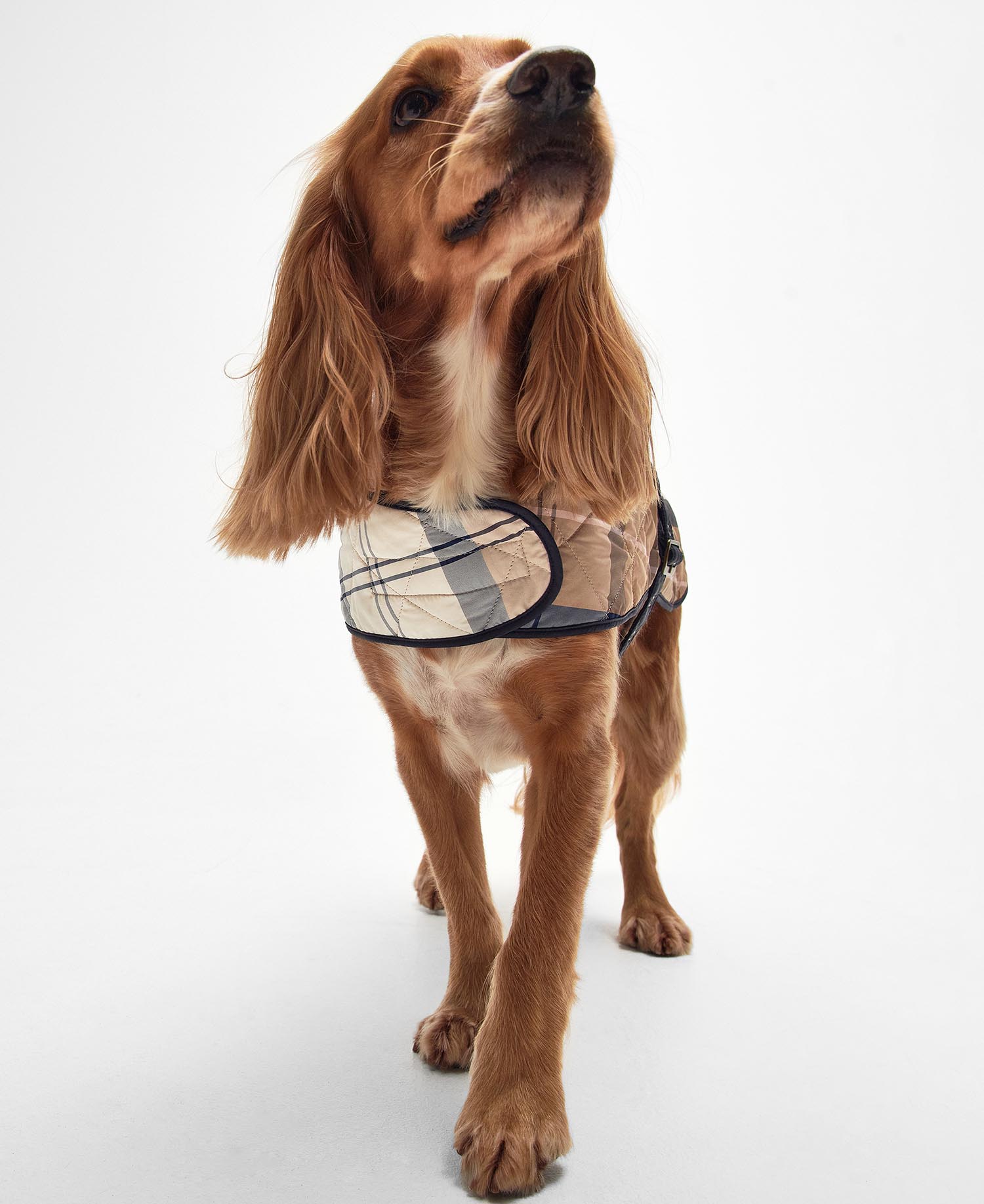 Tartan Dog Coat Primrose Hessian