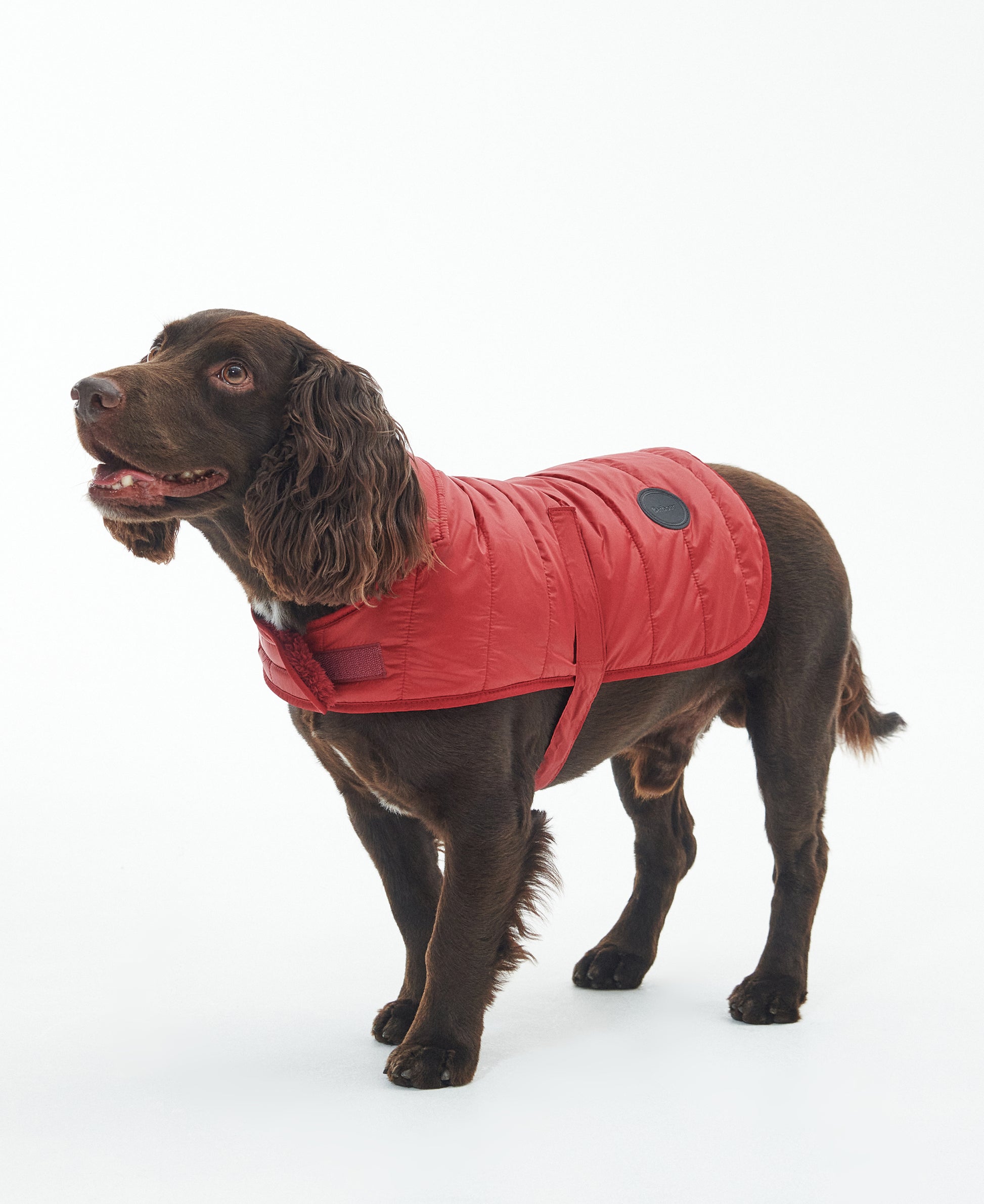 Baffle Quilted Dog Coat Wine