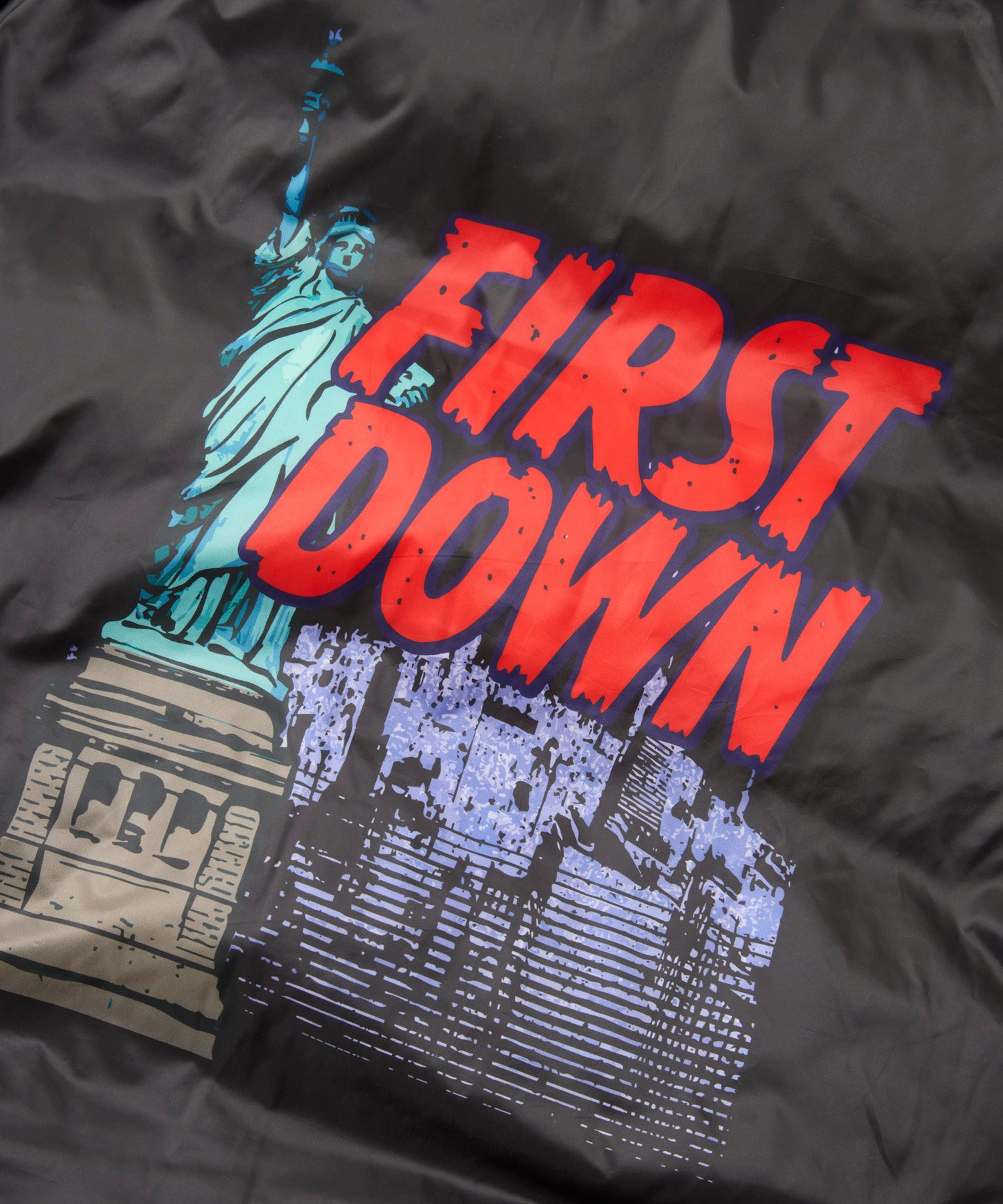 Bubble Down Reversible Jacket