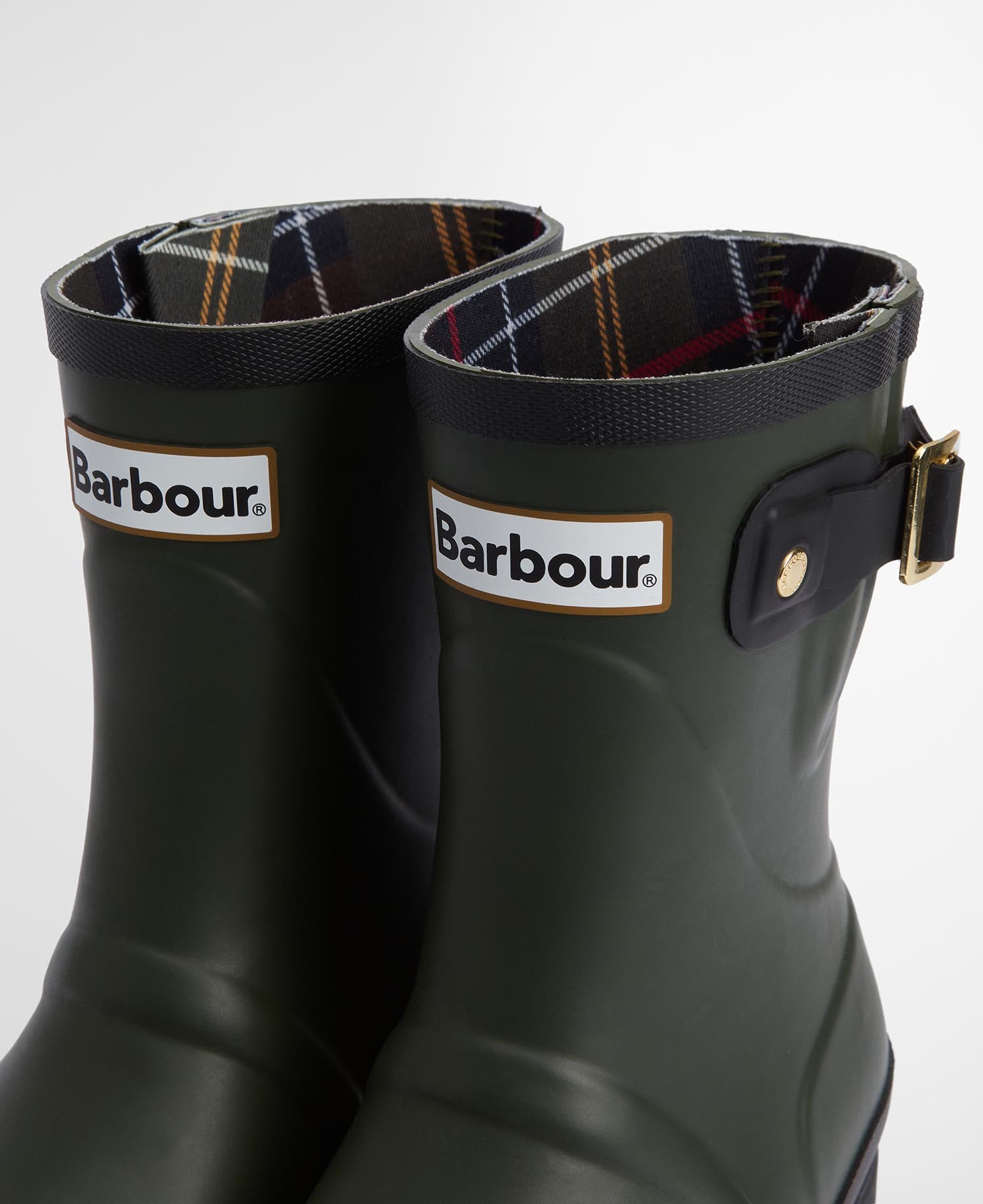 Raelynn Welly Olive