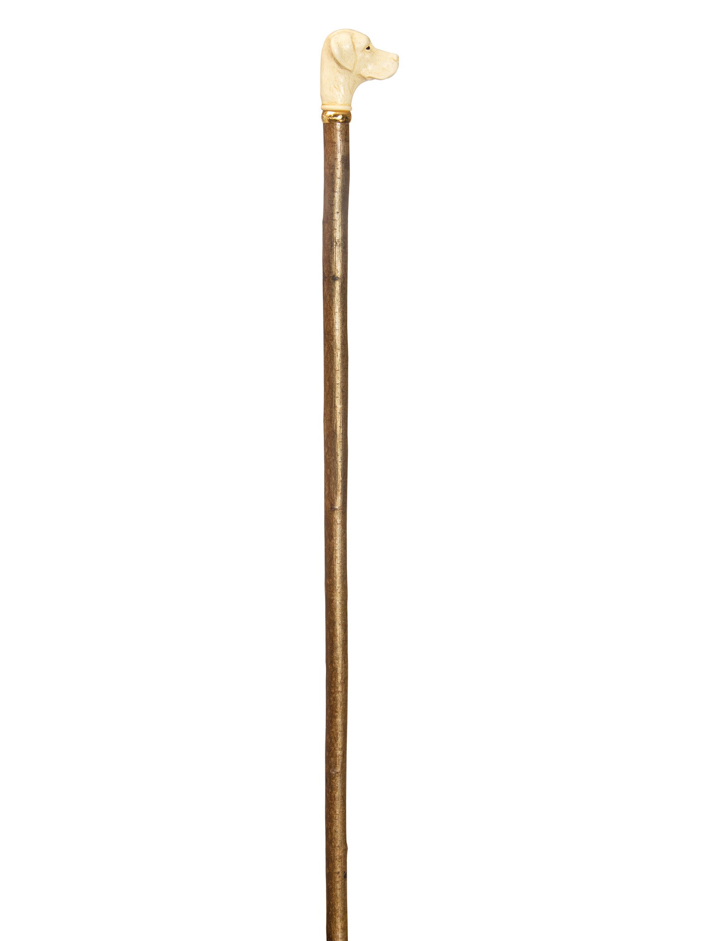 Labrador Retriever cane walking stick, imitation ivory