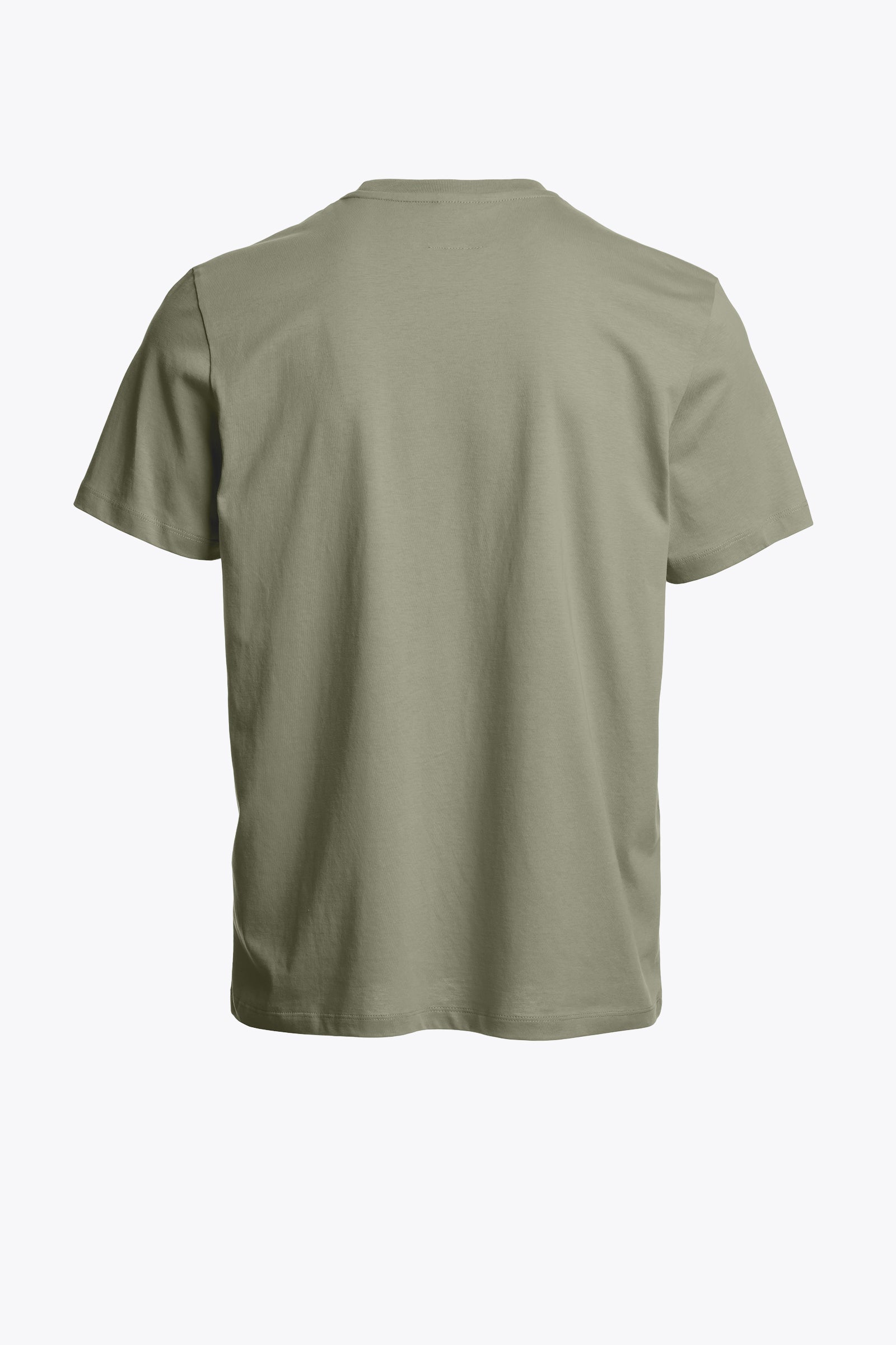 Patch Tee Ashen Sage