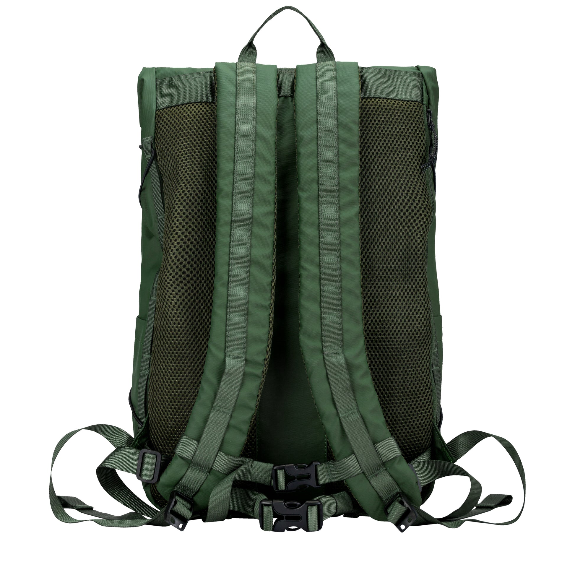 Dayle Roll Top Backpack Green