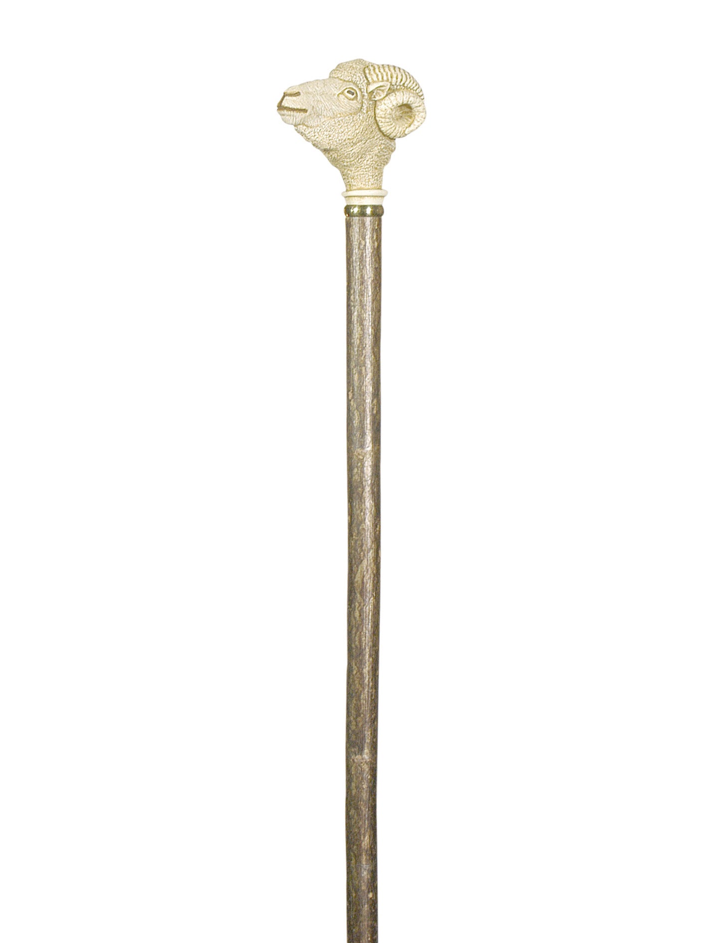 Ram head cane walking stick in hazel and imitation ivory