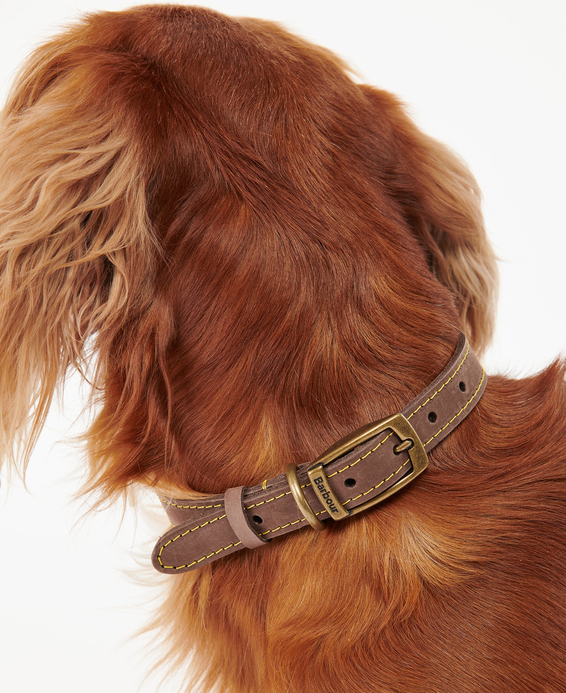 Leather Dog Collar Brown