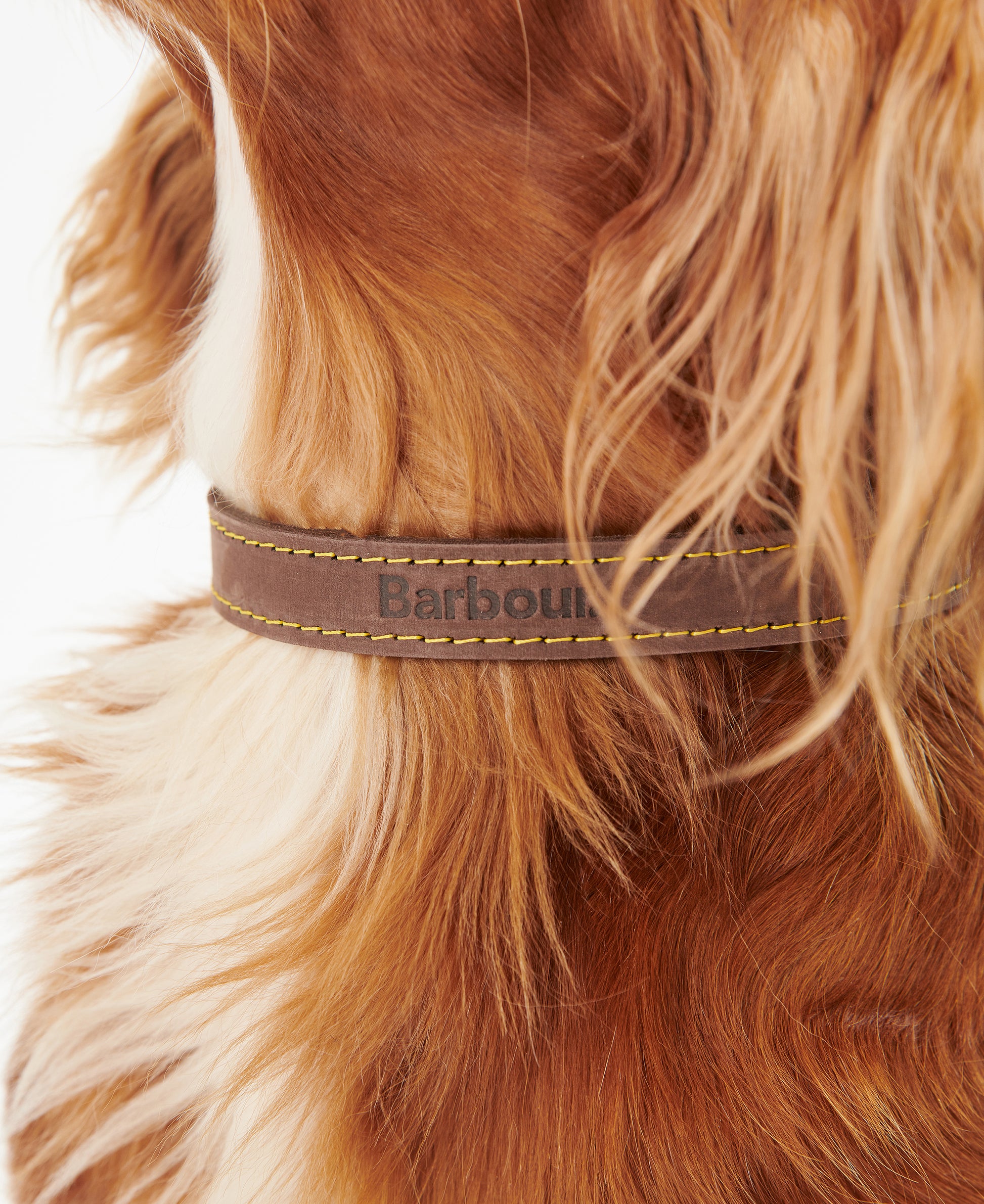 Leather Dog Collar Brown