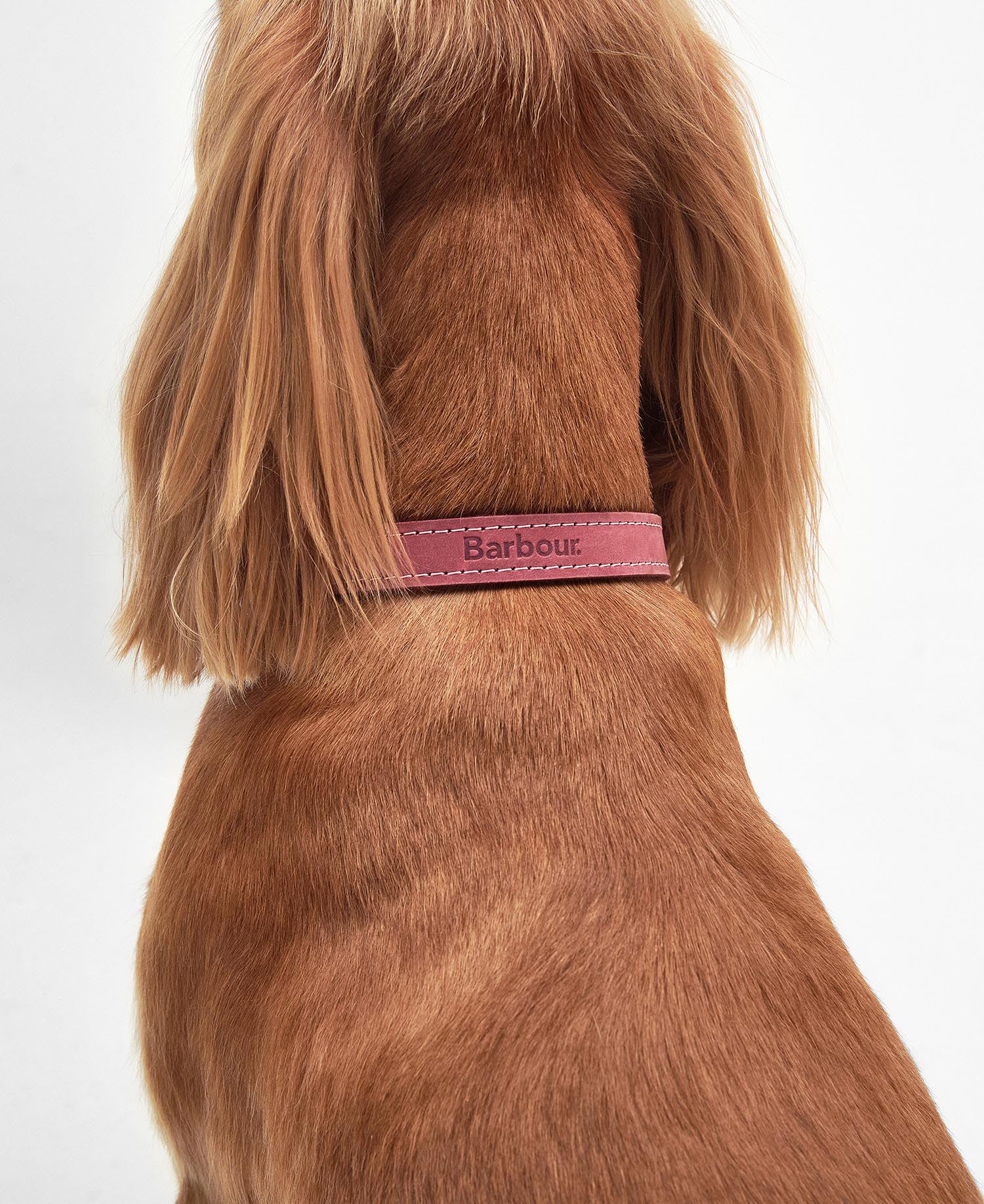 Leather Dog Collar Pink