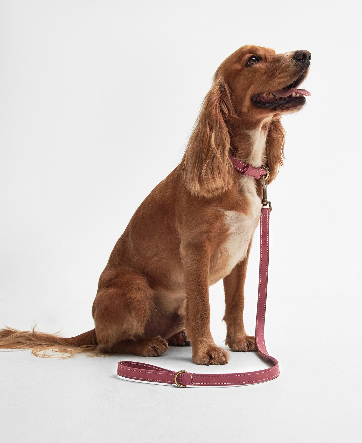 Leather Dog Lead Pink