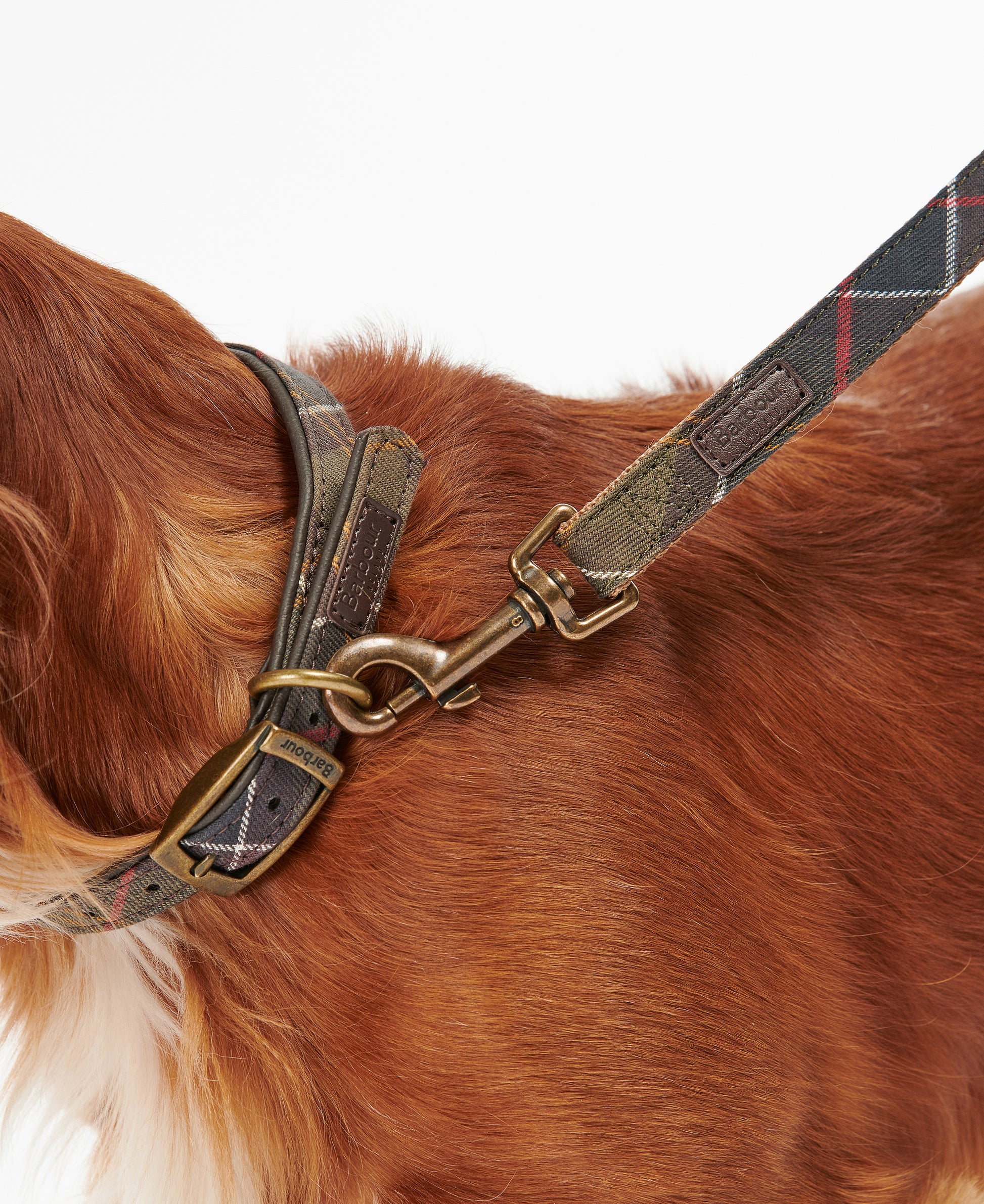 Tartan/Webbing Dog Lead