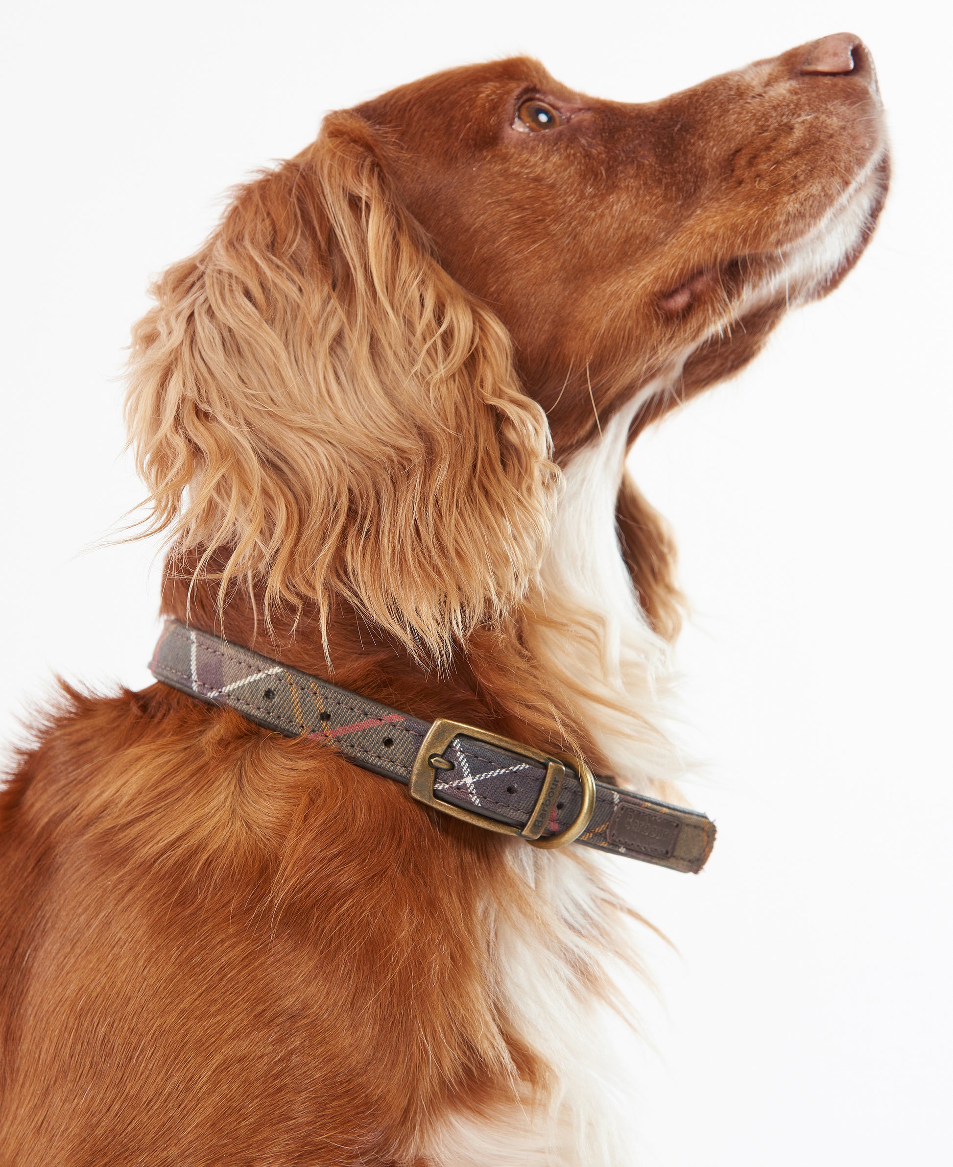 Tartan Dog Collar Classic Tartan