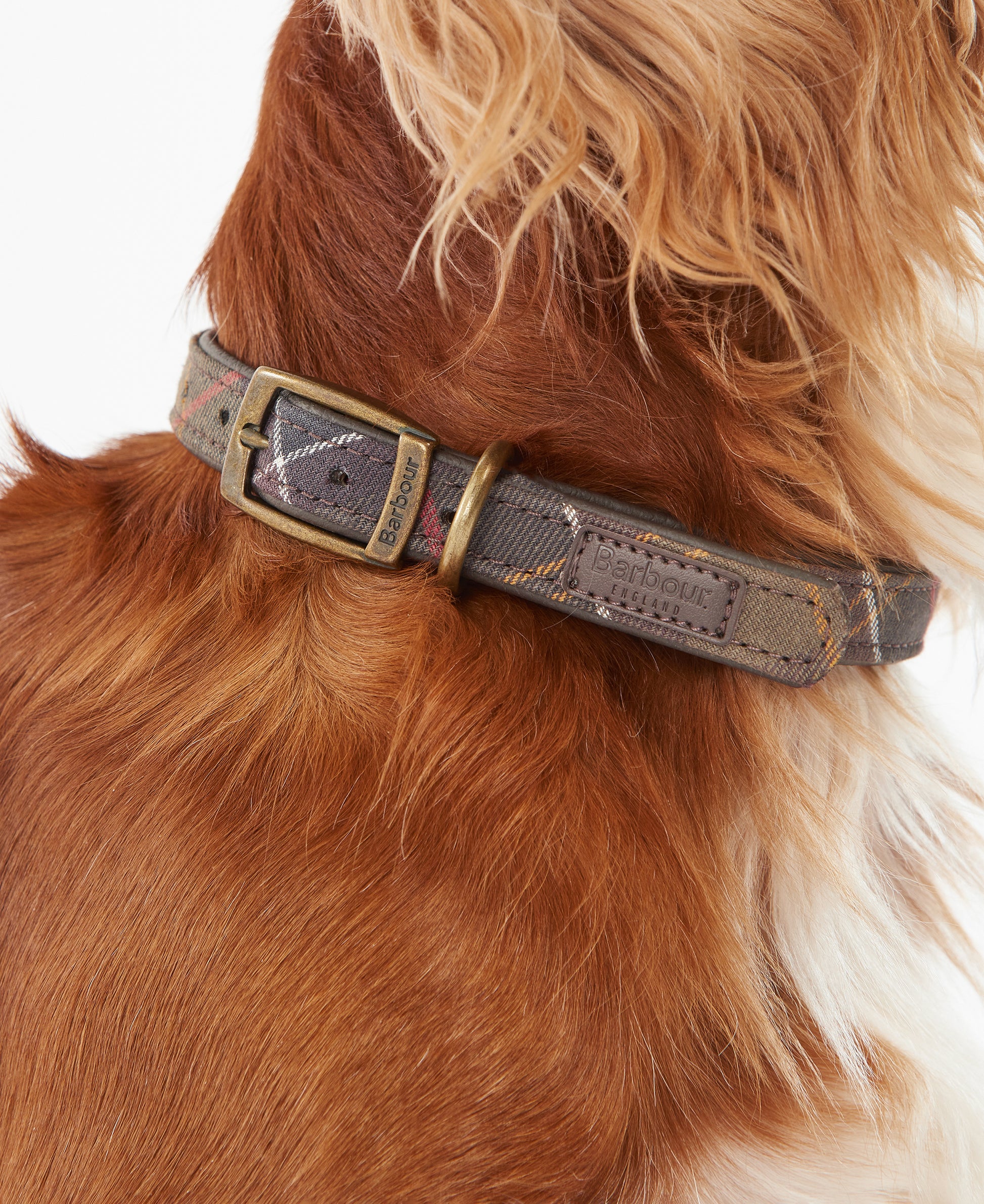 Tartan Dog Collar Classic Tartan