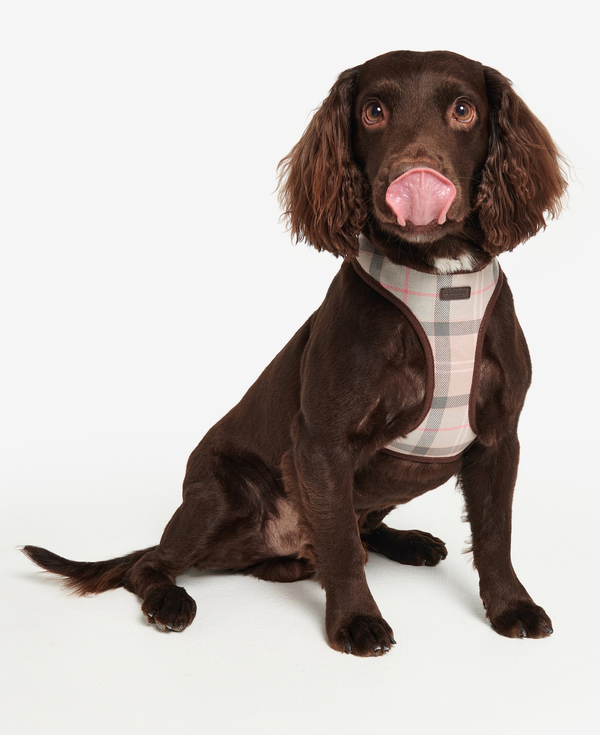 Dog Harness Taupe/Pink Tartan