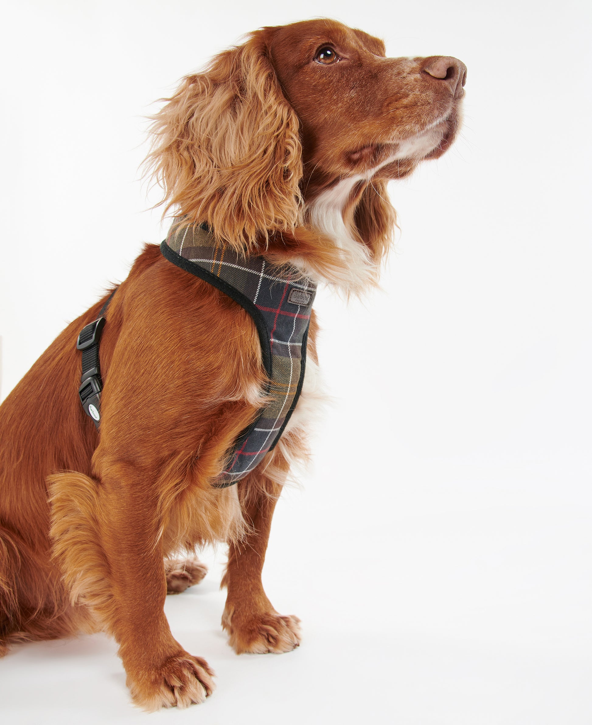 Dog Harness Classic Tartan