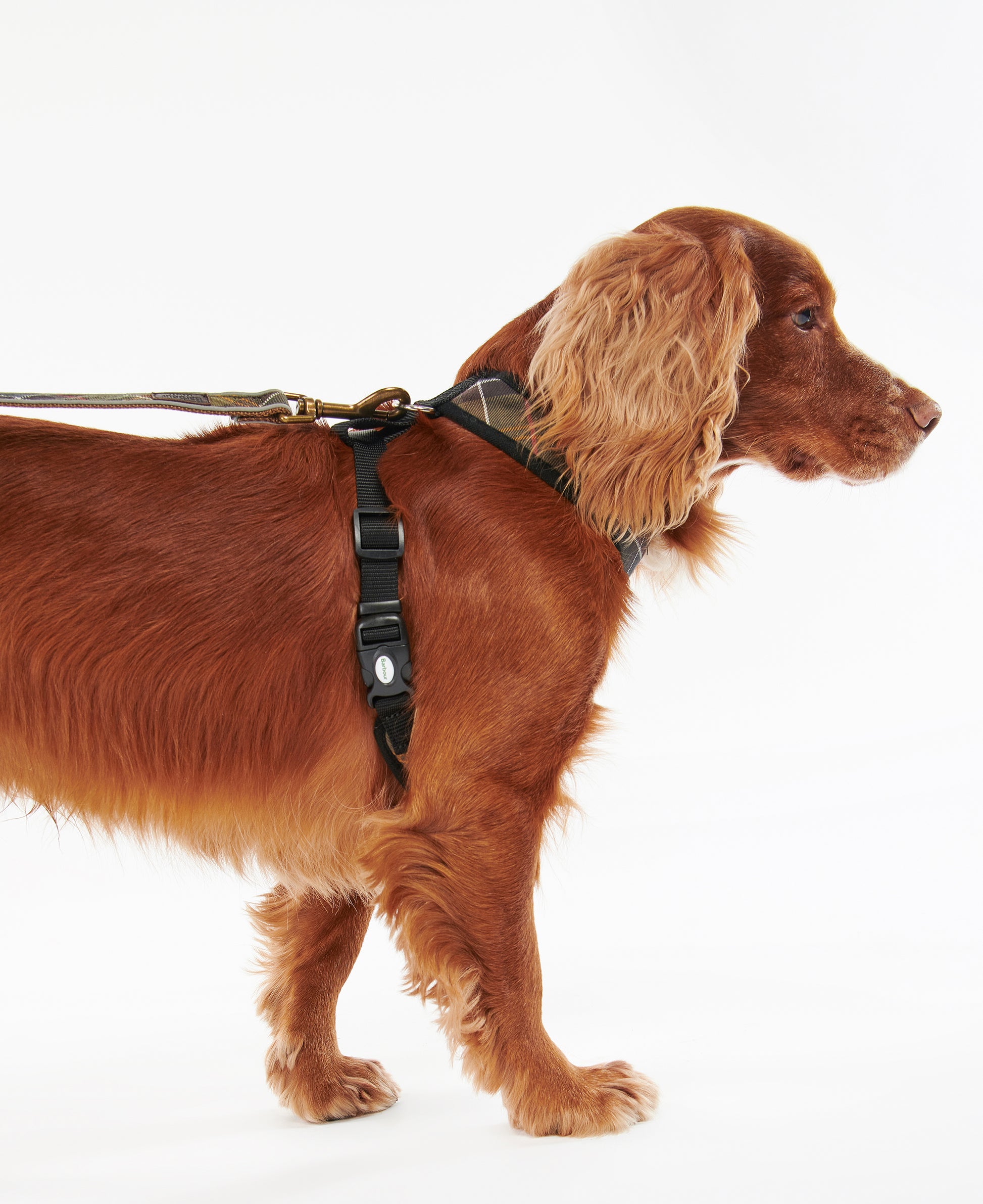 Dog Harness Classic Tartan