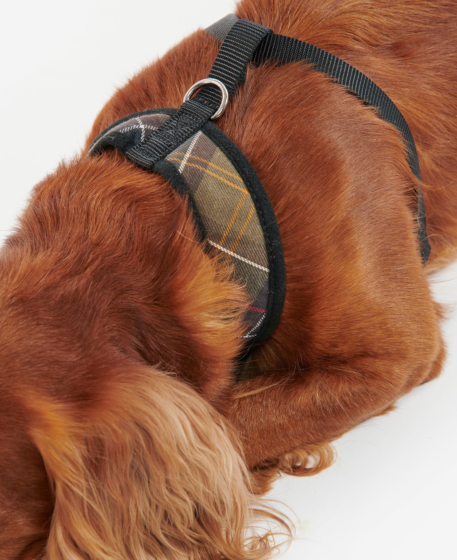 Dog Harness Classic Tartan