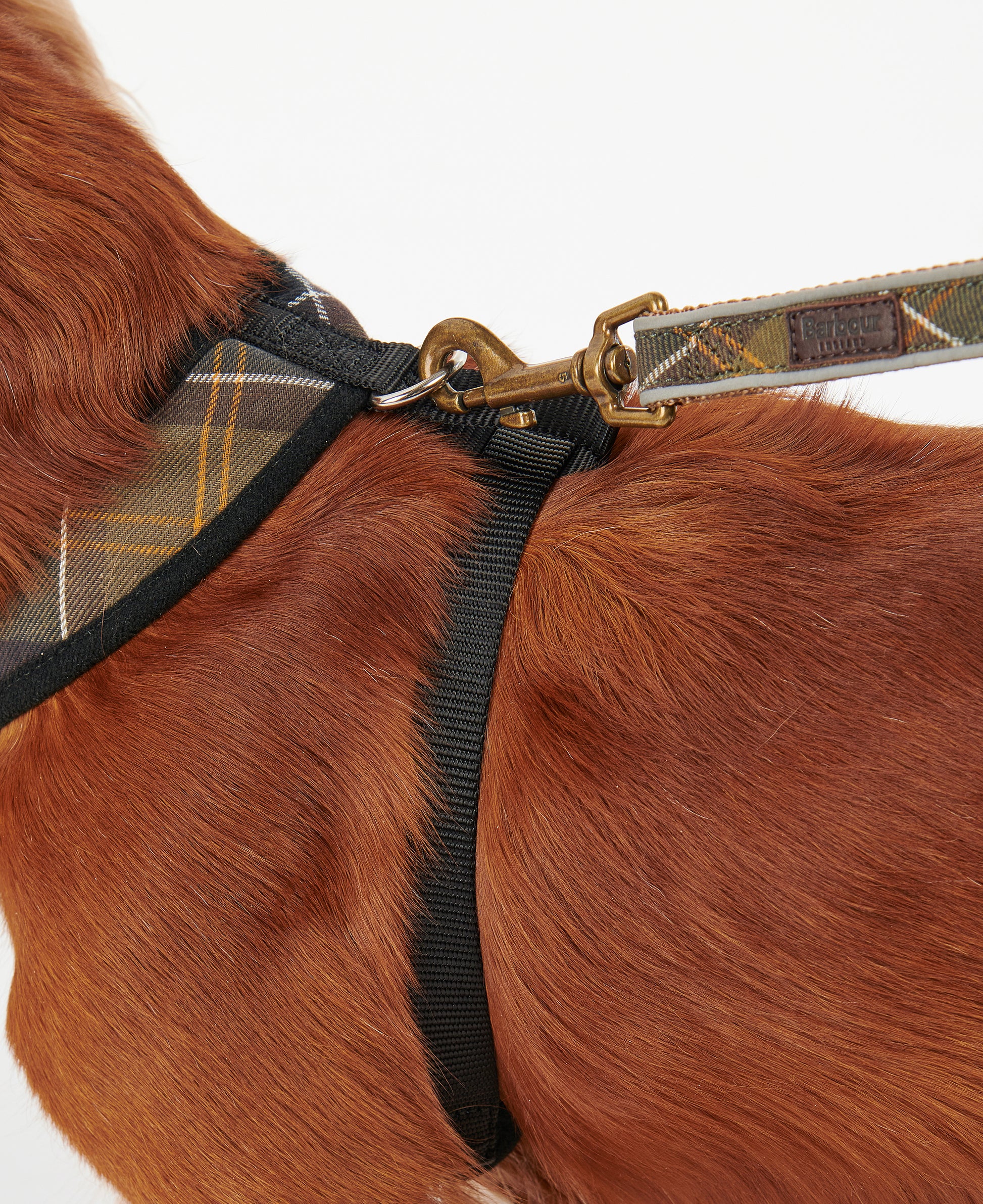 Dog Harness Classic Tartan