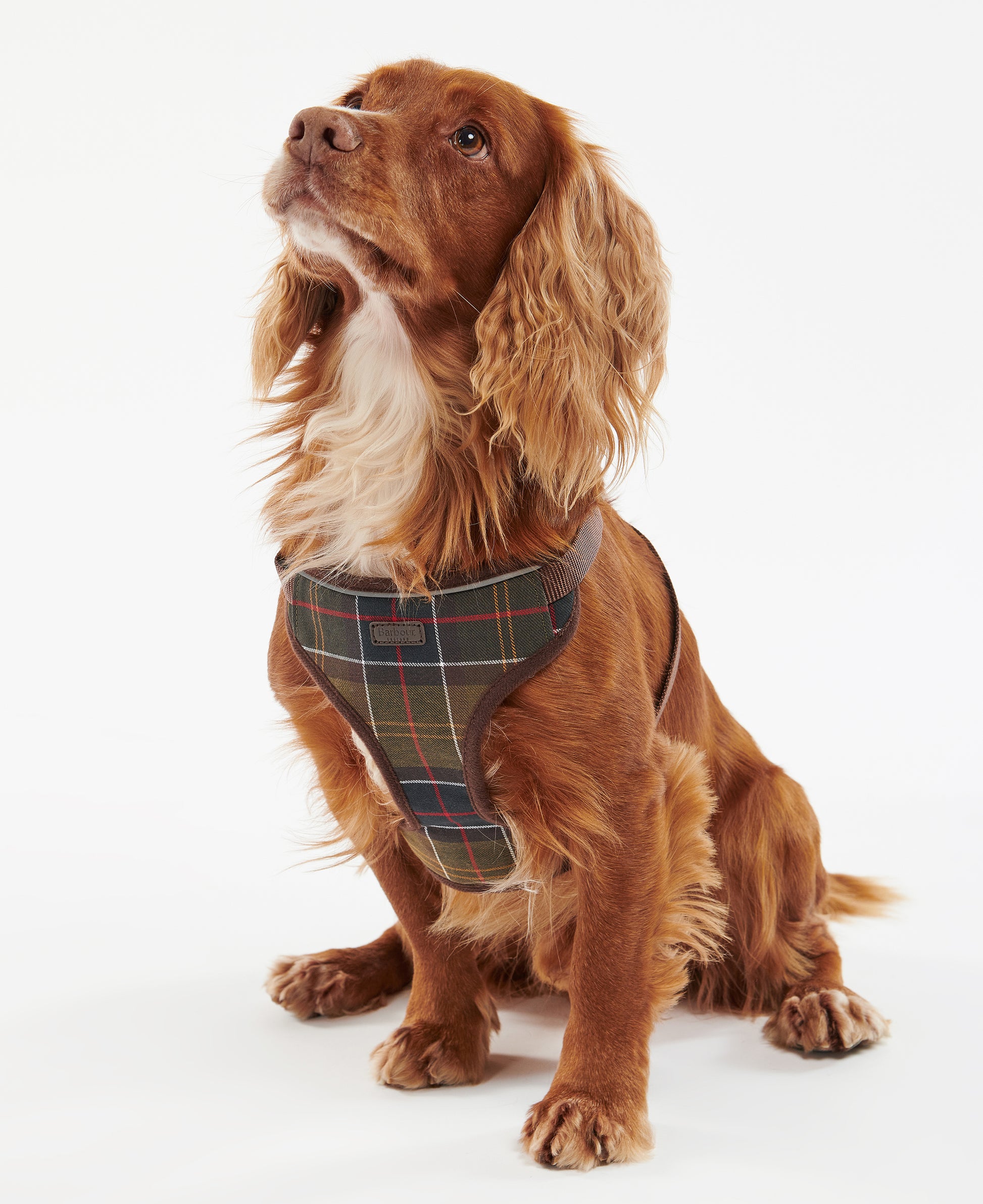 Travel and Exercise Dog Harness Classic Tartan