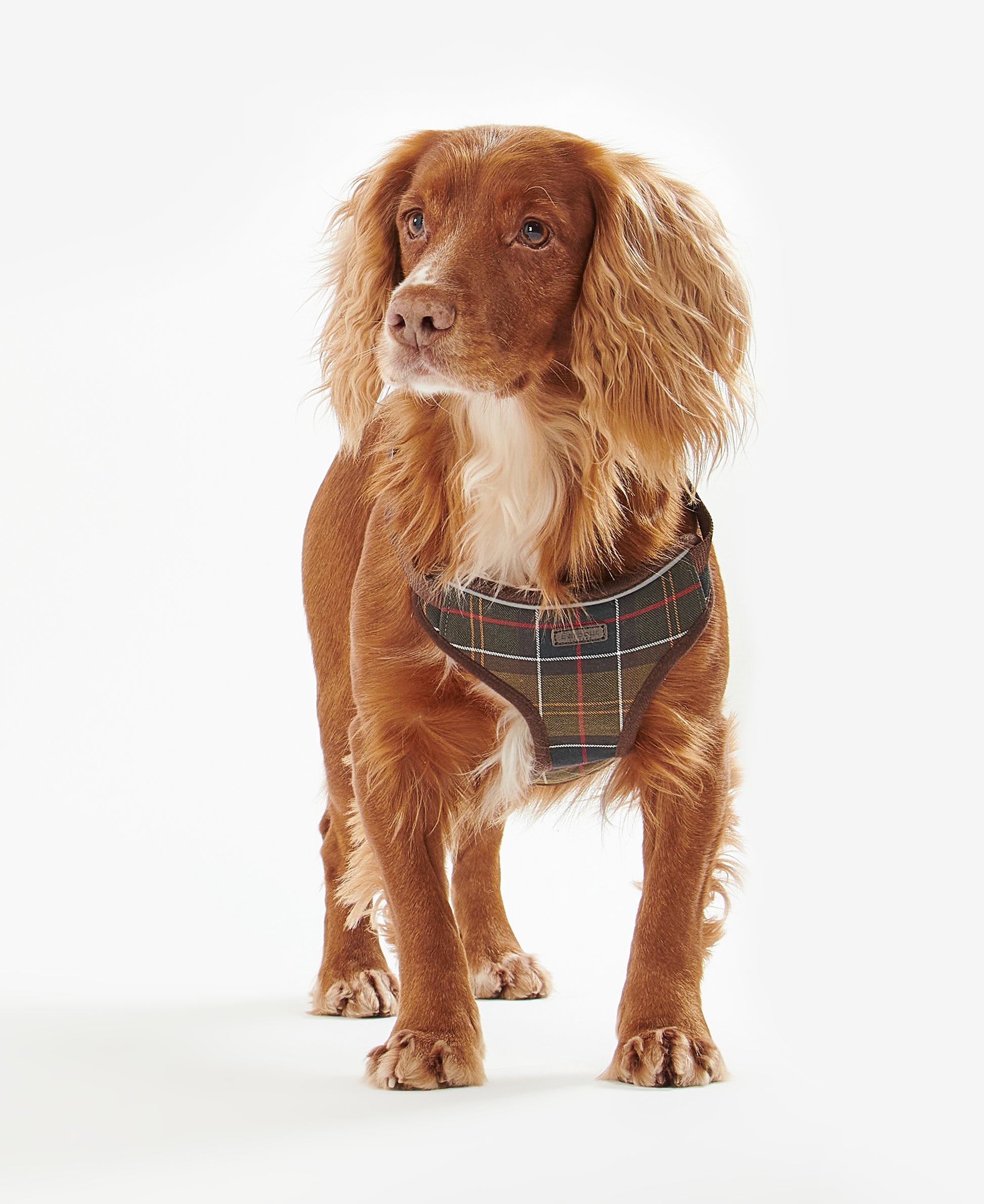 Travel and Exercise Dog Harness Classic Tartan