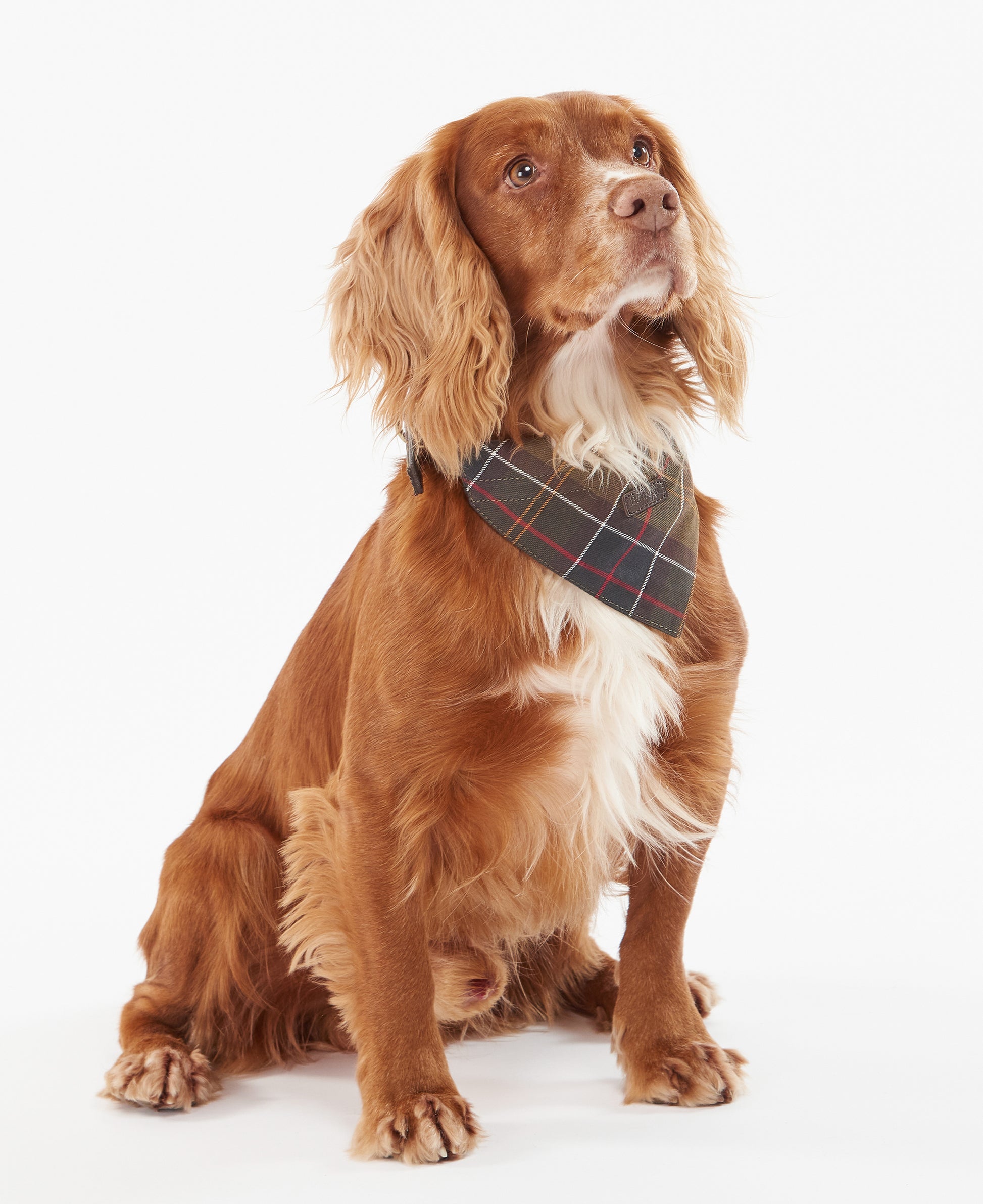 Dog Bandana Classic Tartan