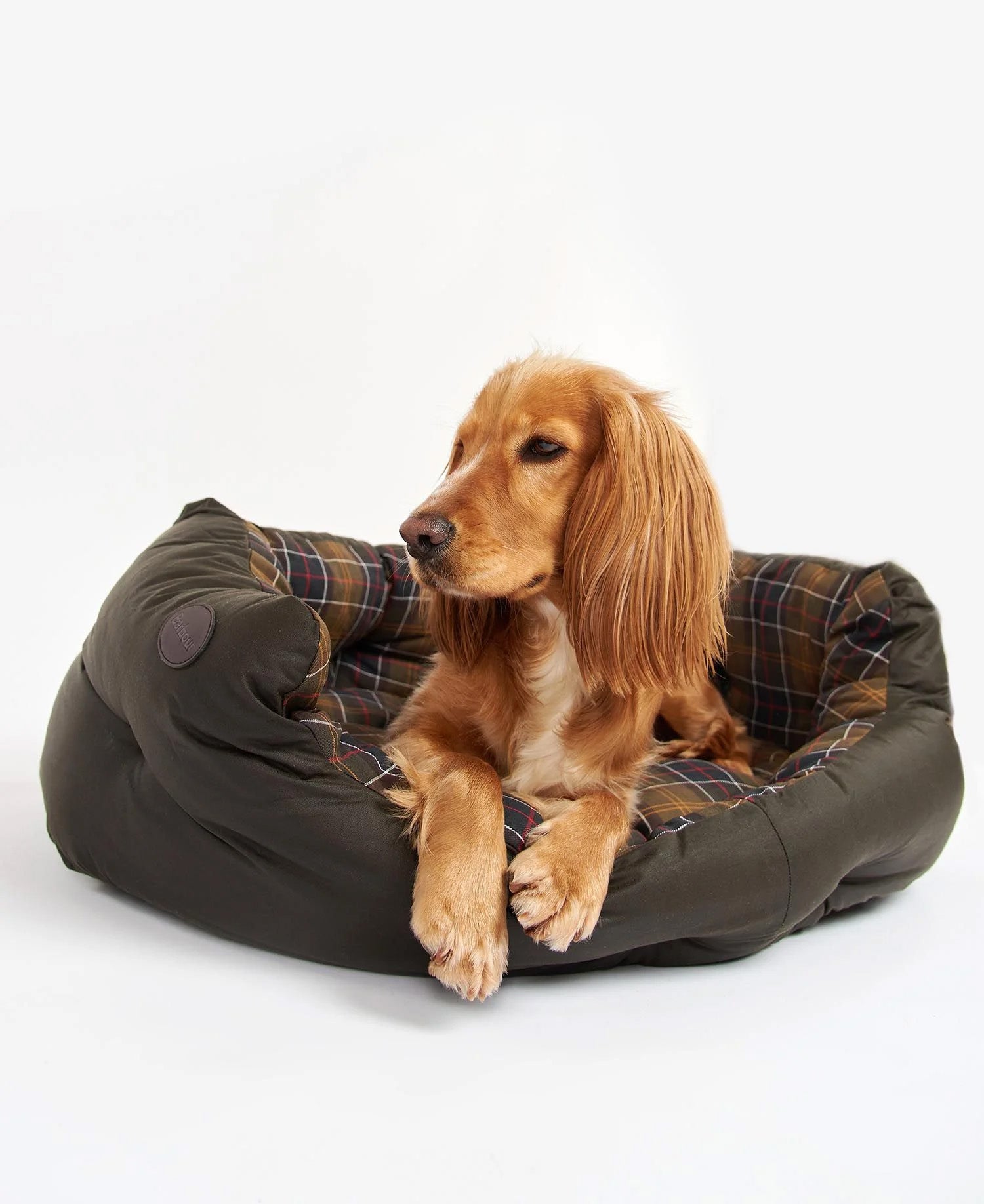 Wax Cotton Dog Bed Olive