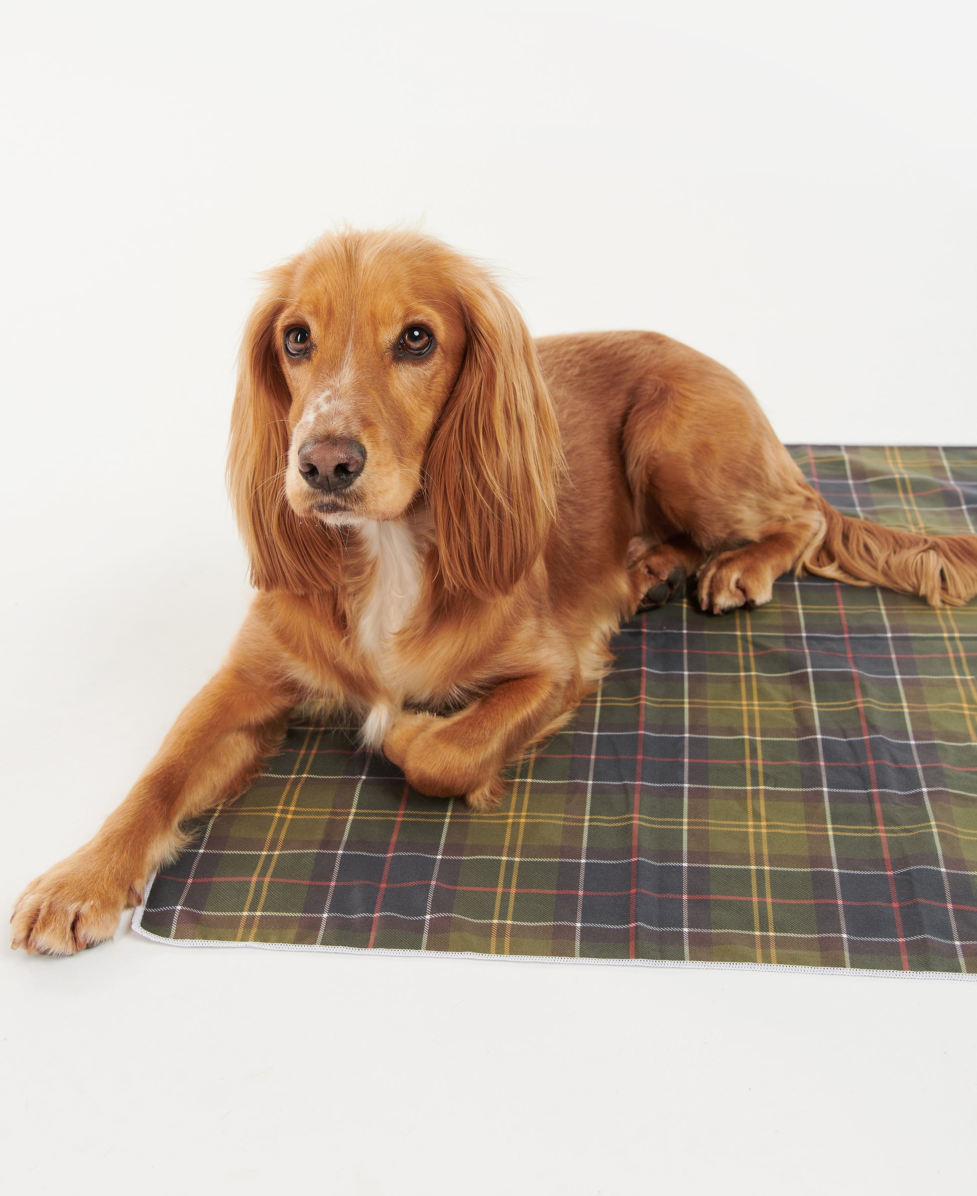 Classic Quick Dry Dog Towel Classic Tartan