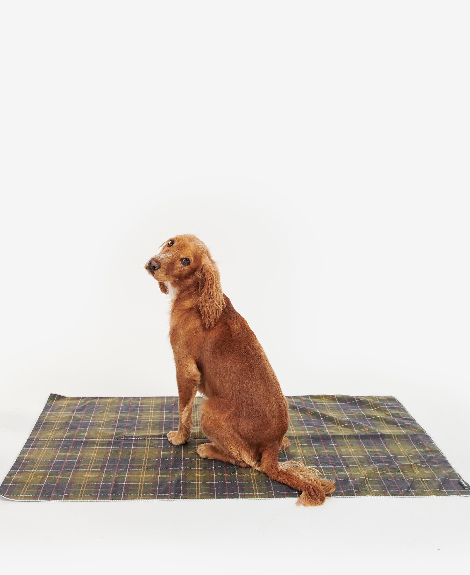 Classic Quick Dry Dog Towel Classic Tartan