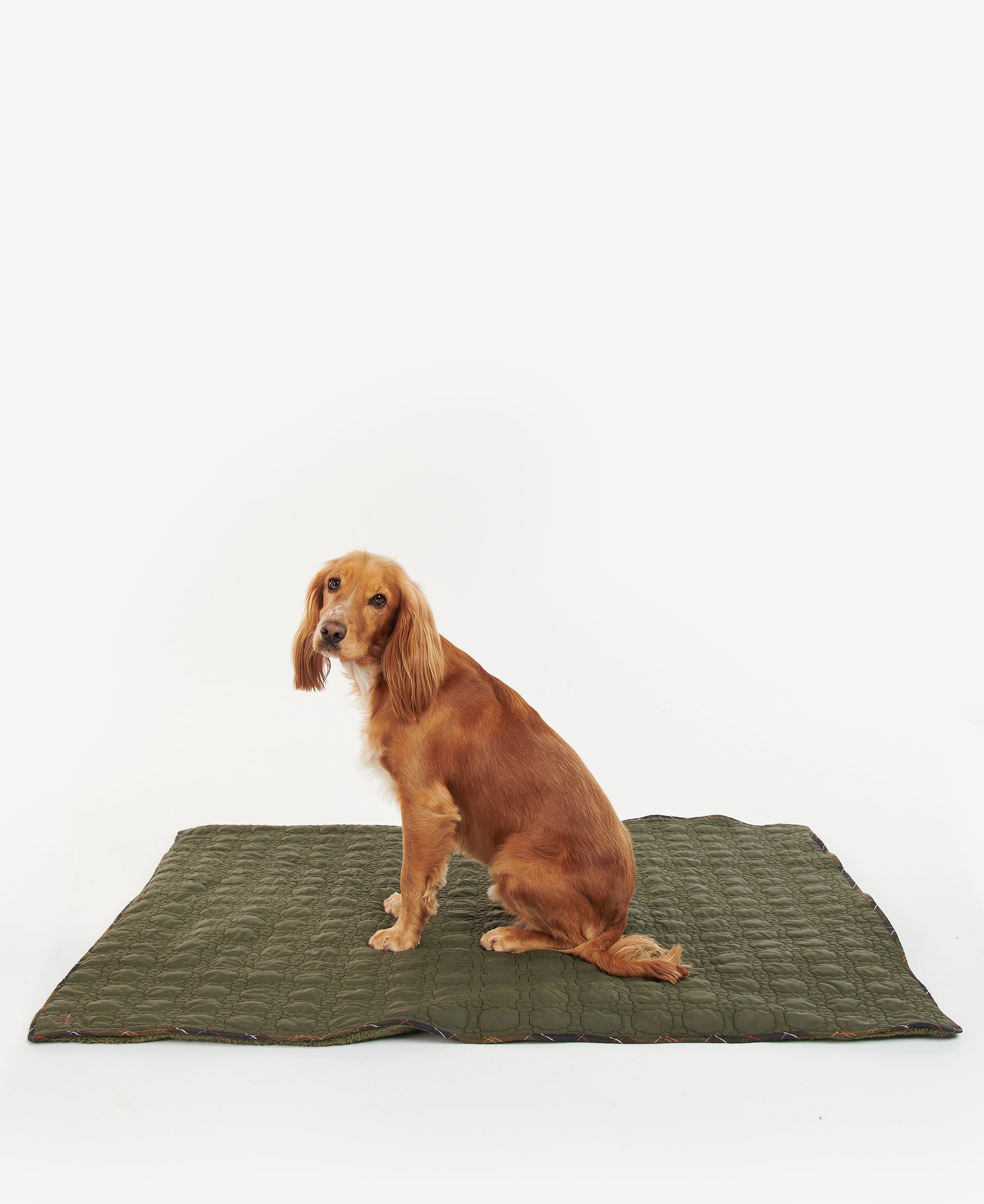 Dog Bone Quilted Blanket Dark Olive