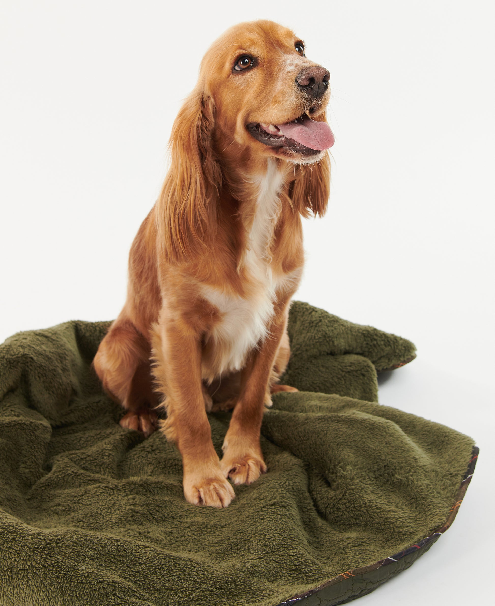 Dog Bone Quilted Blanket Dark Olive