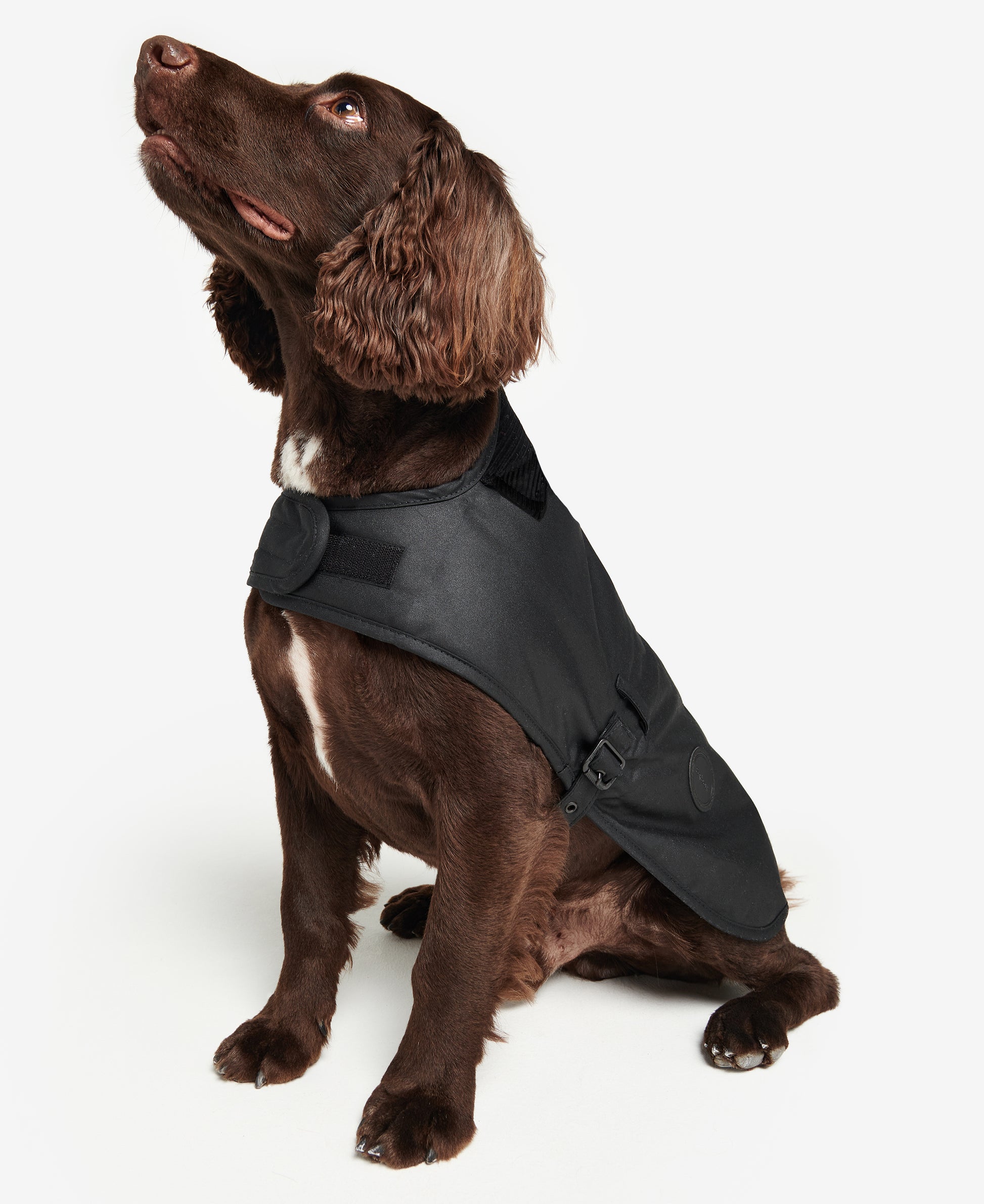 Barbour Wax Dog Coat Black