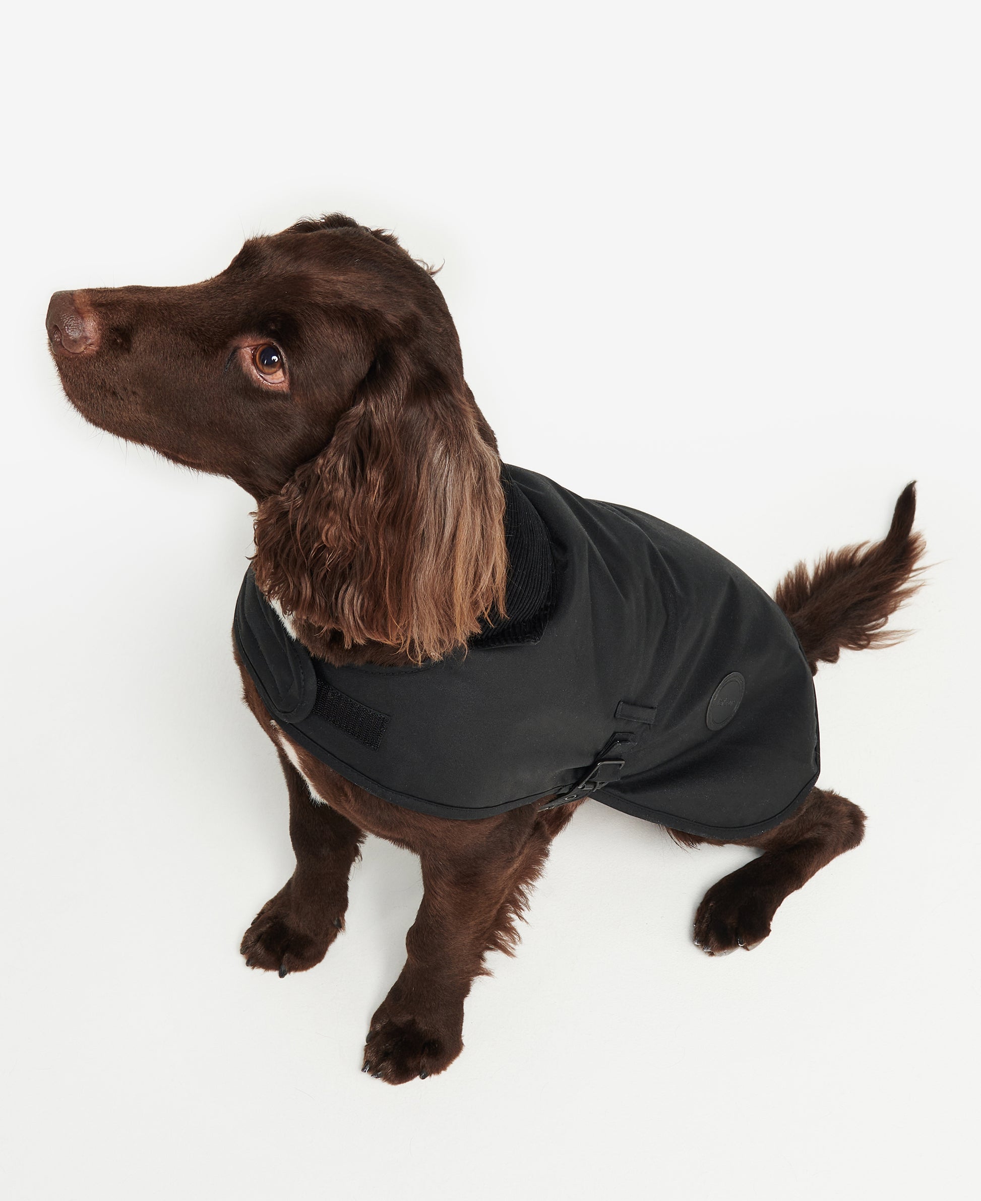 Barbour Wax Dog Coat Black