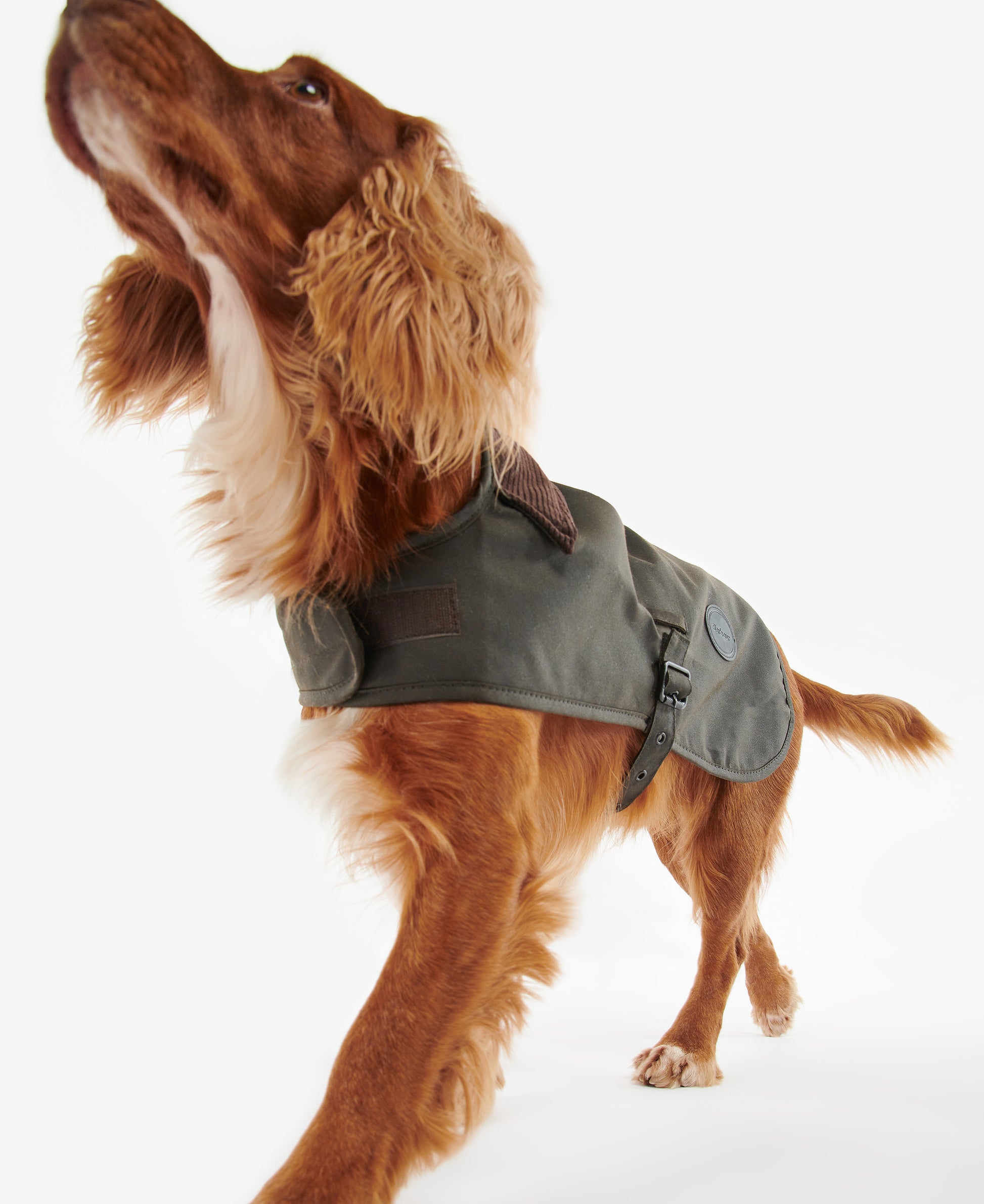 Barbour Wax Dog Coat Olive