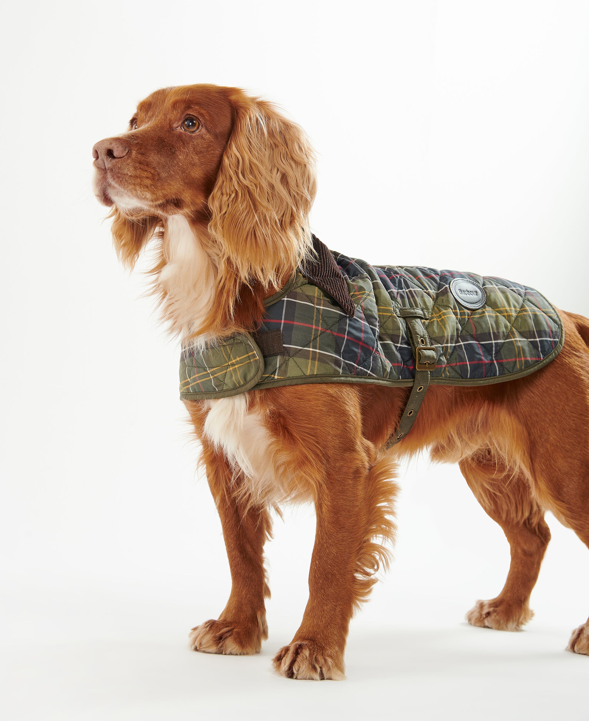 Tartan Dog Coat Classic Tartan