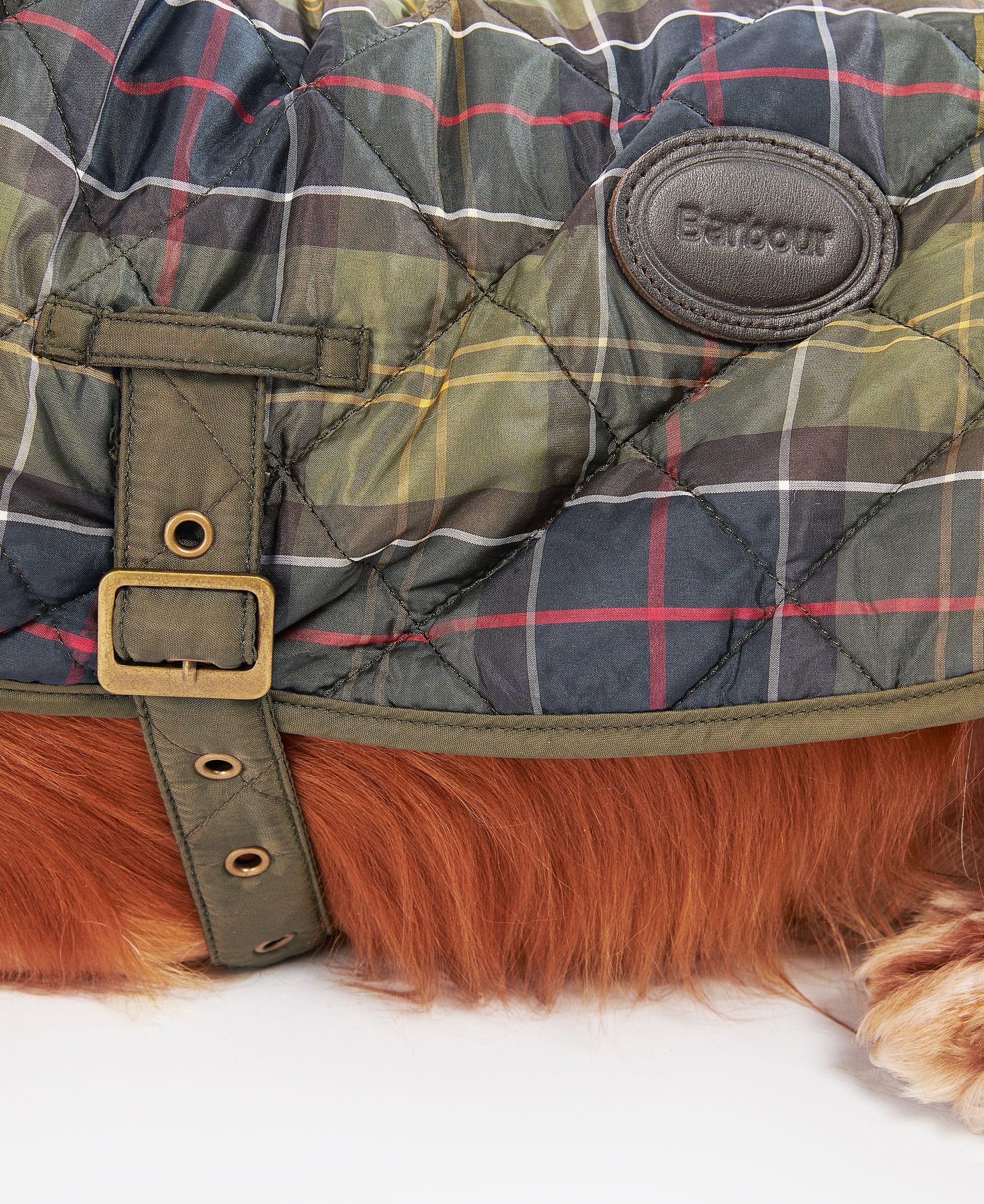 Tartan Dog Coat Classic Tartan