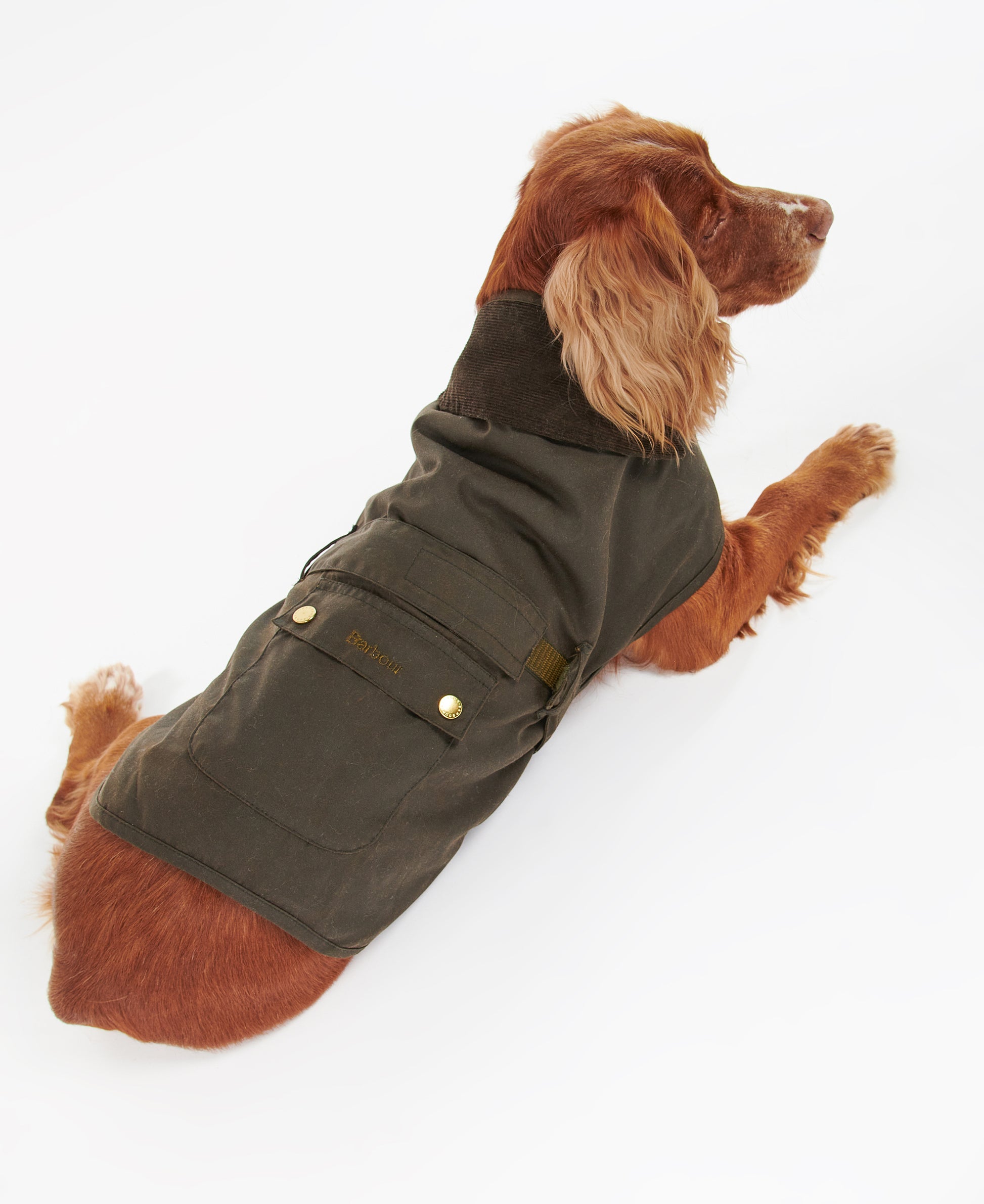 2 in 1 Wax Dog Coat Olive