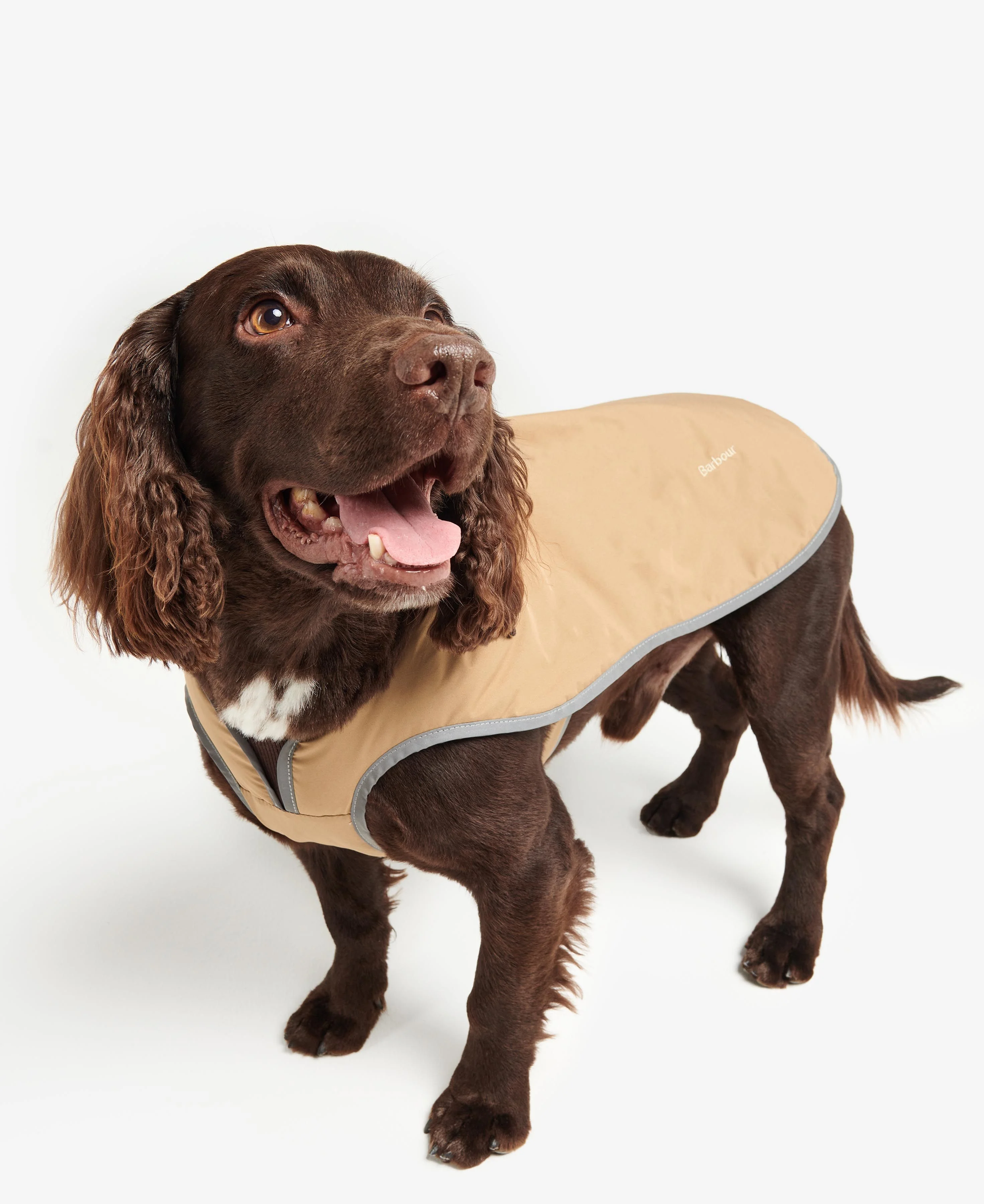 Monmouth Waterproof Dog Coat Trench