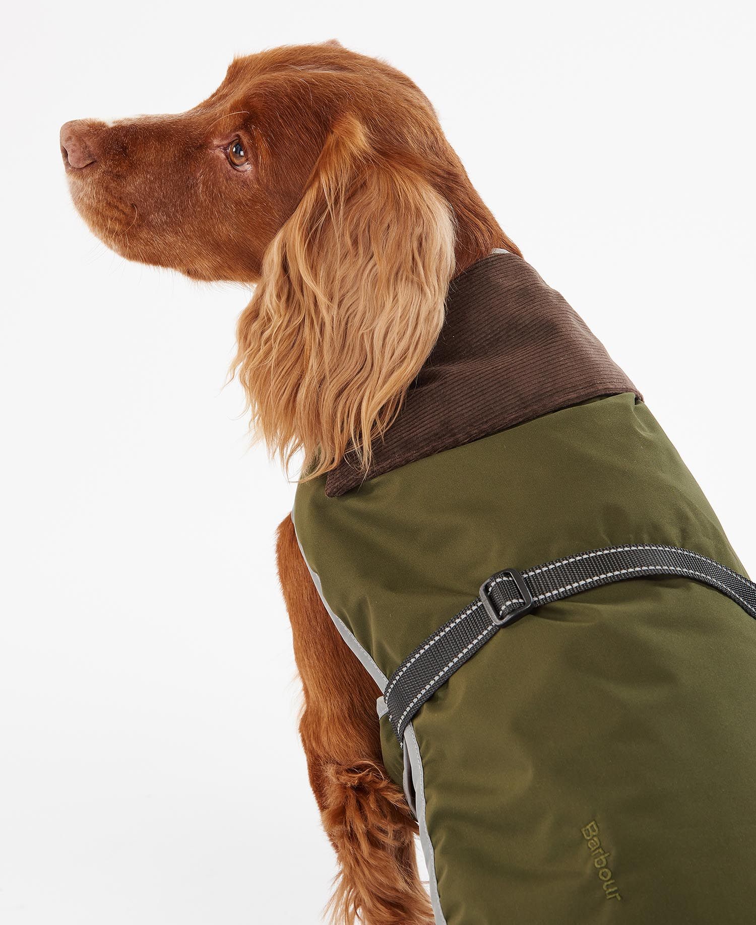 Monmouth Waterproof Dog Coat Olive