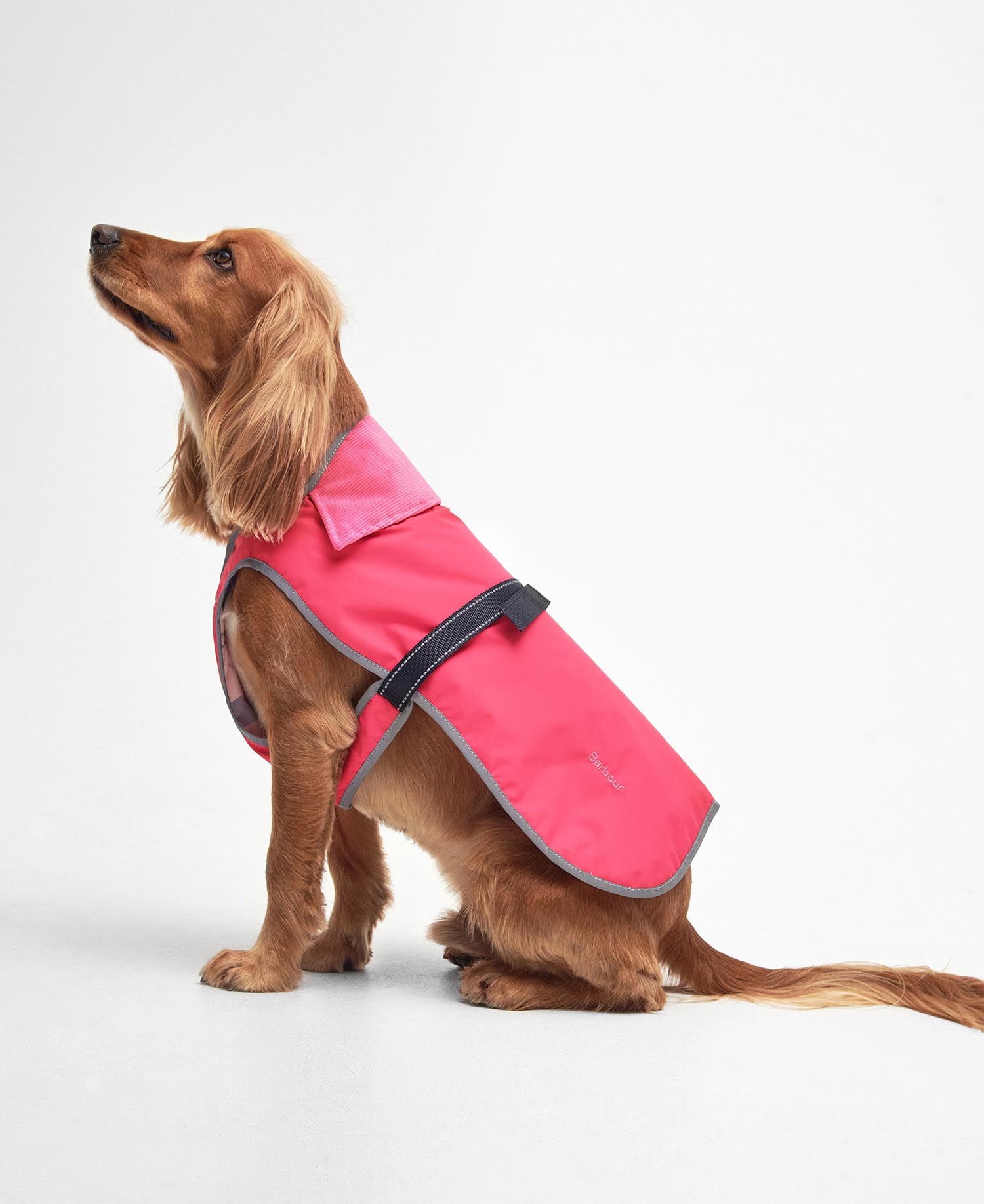 Monmouth Waterproof Dog Coat Acid Pink