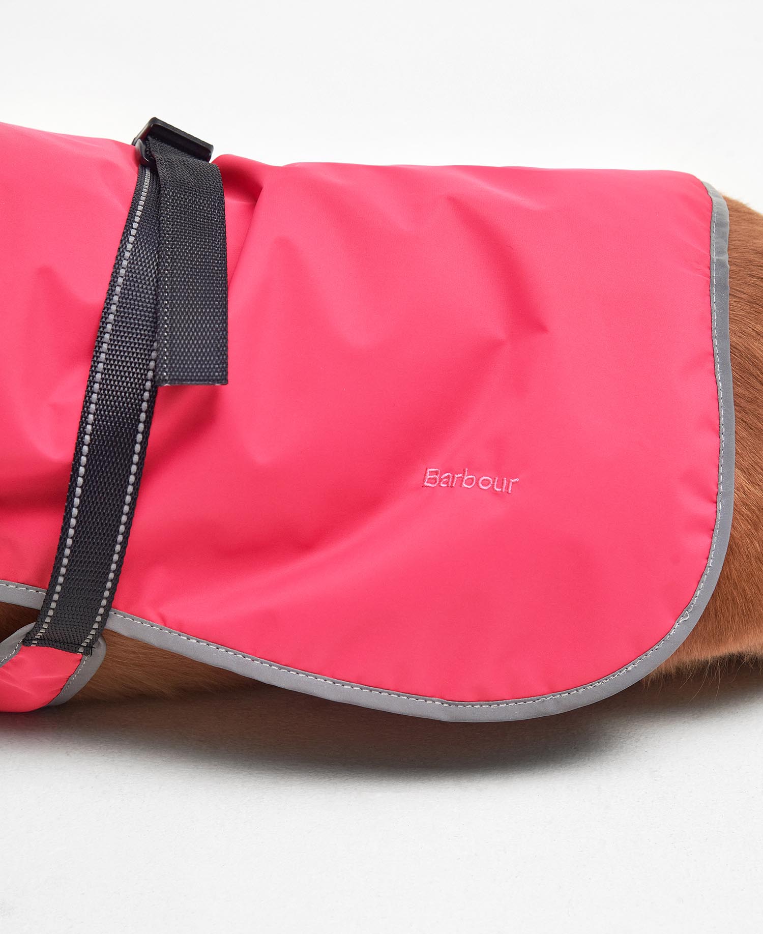 Monmouth Waterproof Dog Coat Acid Pink