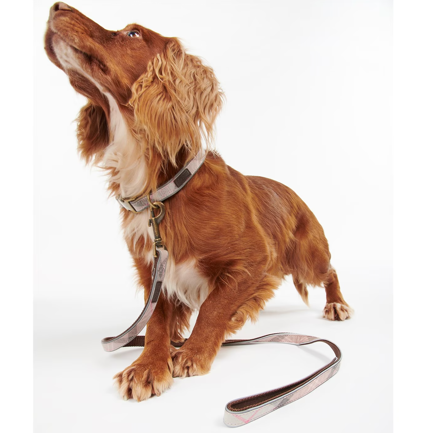 Reflective Tartan Dog Lead Taupe / Pink