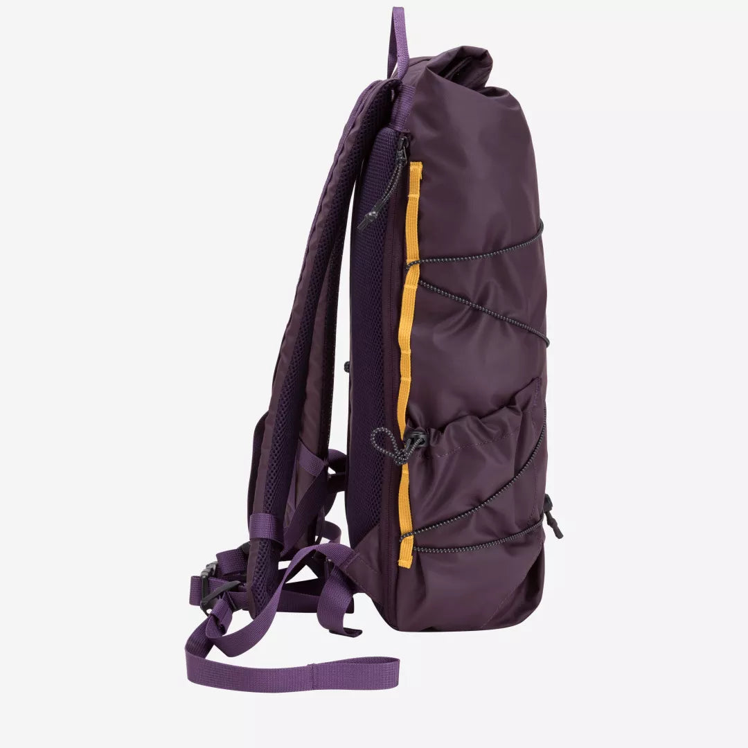 Dayle Roll Top Backpack Purple