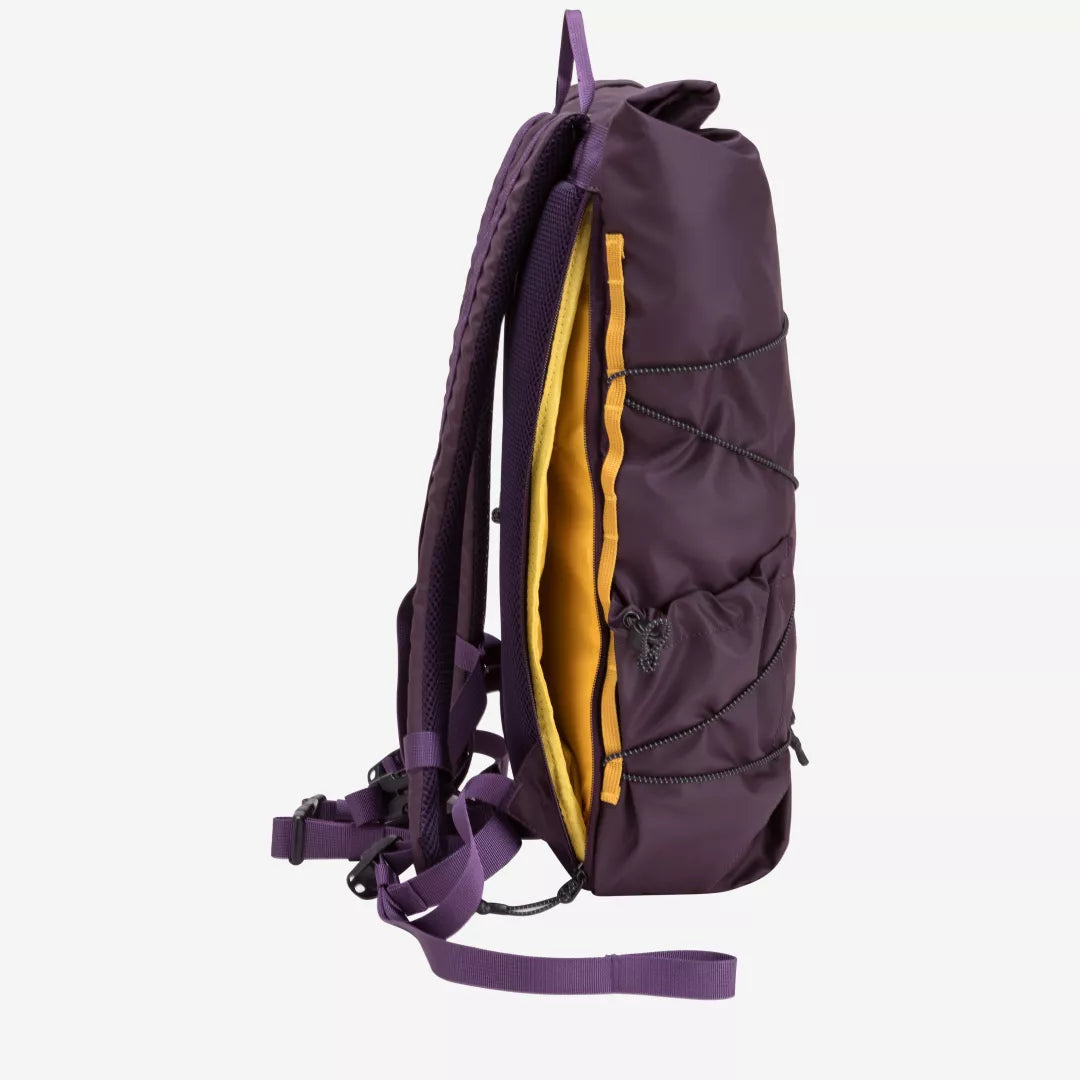 Dayle Roll Top Backpack Purple